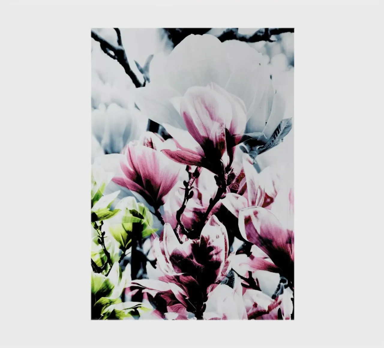 Magnolia 01 notebook by Froilein Juno