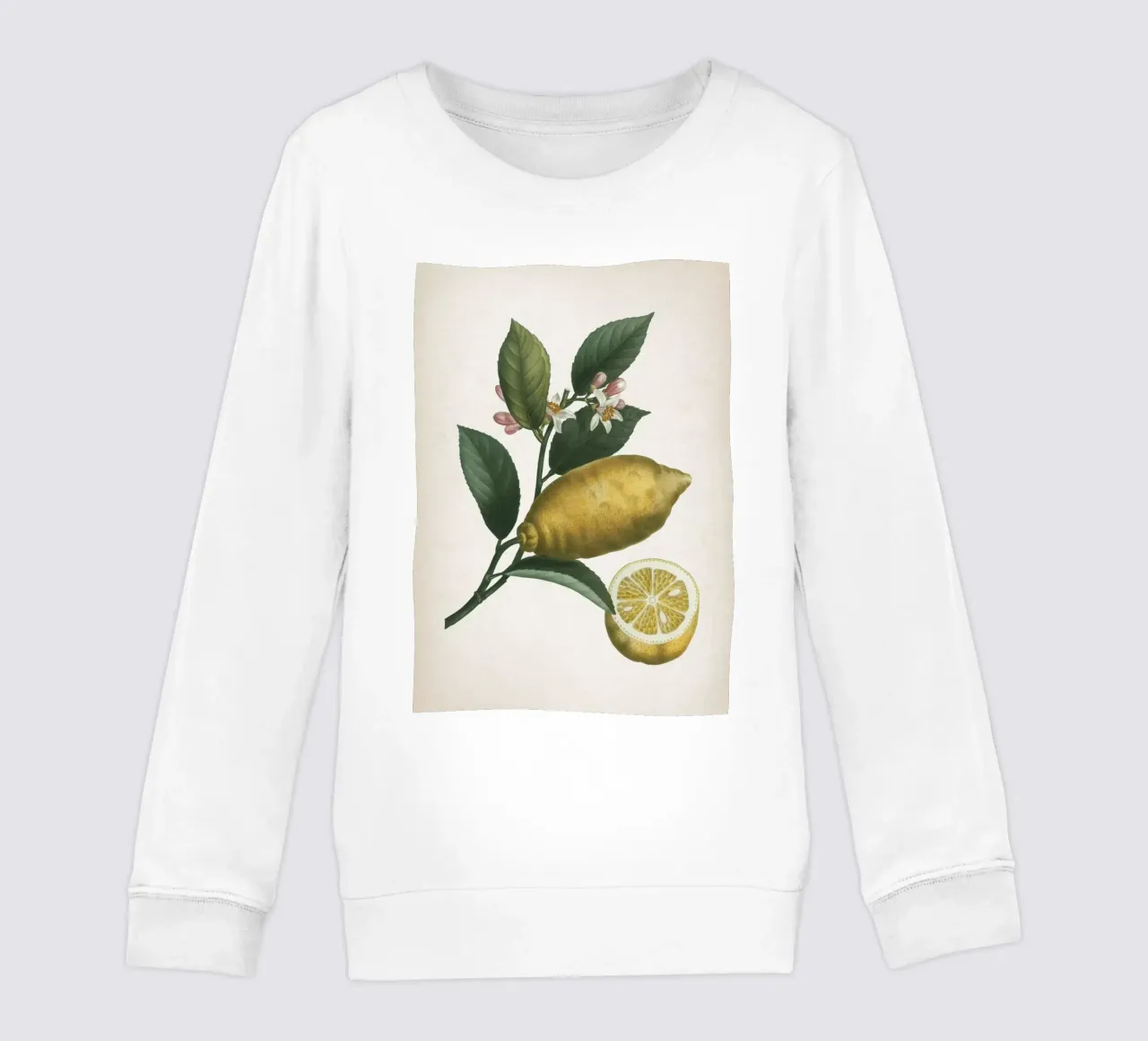 Vintage Redouté 1 Citrus Limonium felpa bambino da Vintage Print Collection
