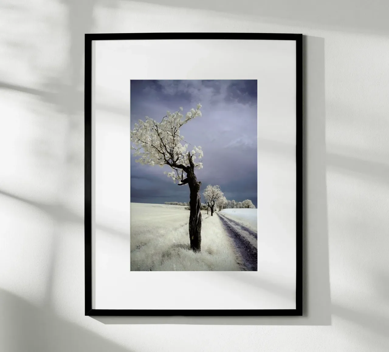 Irenka - Piotr Krol poster da Pictufy