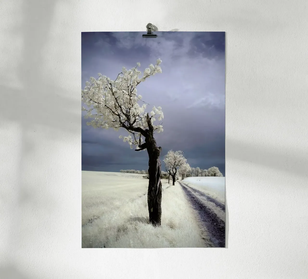 Irenka - Piotr Krol poster da Pictufy