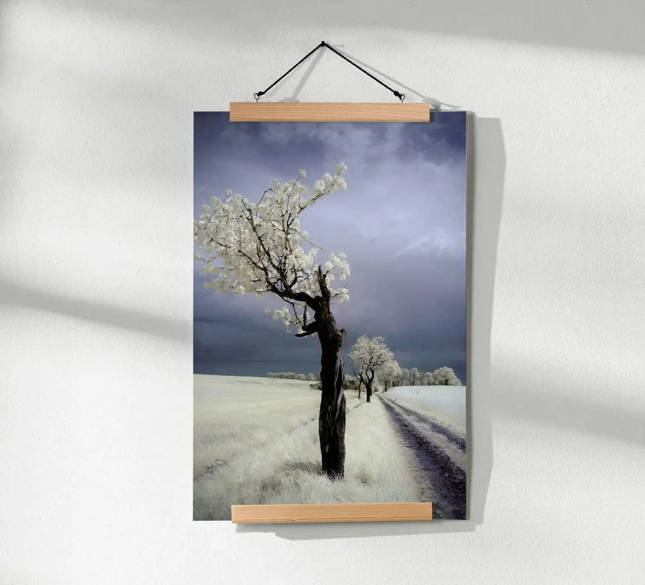 Irenka - Piotr Krol poster da Pictufy
