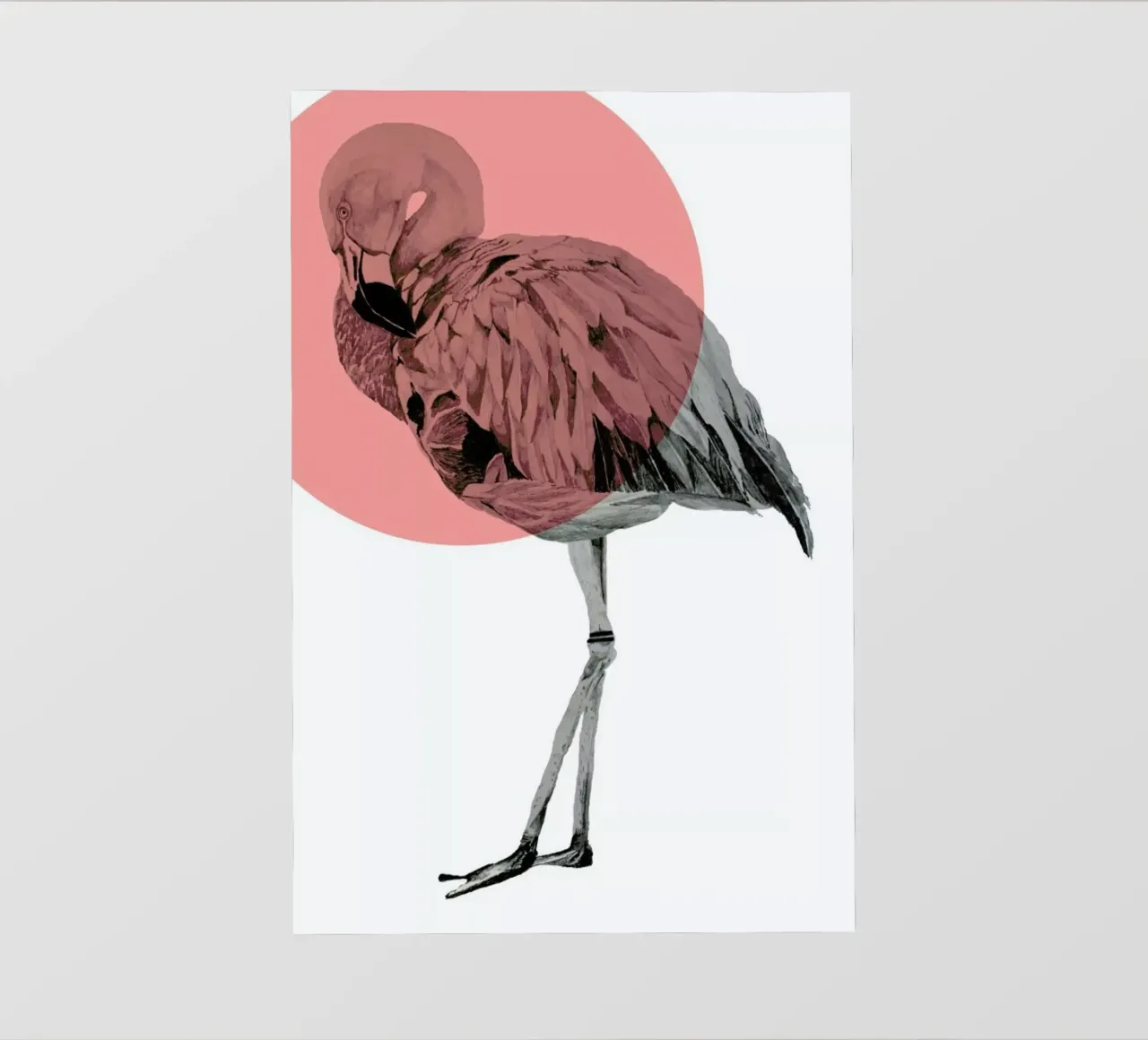 Flamingo pellicola backlit da Morgan Kendall