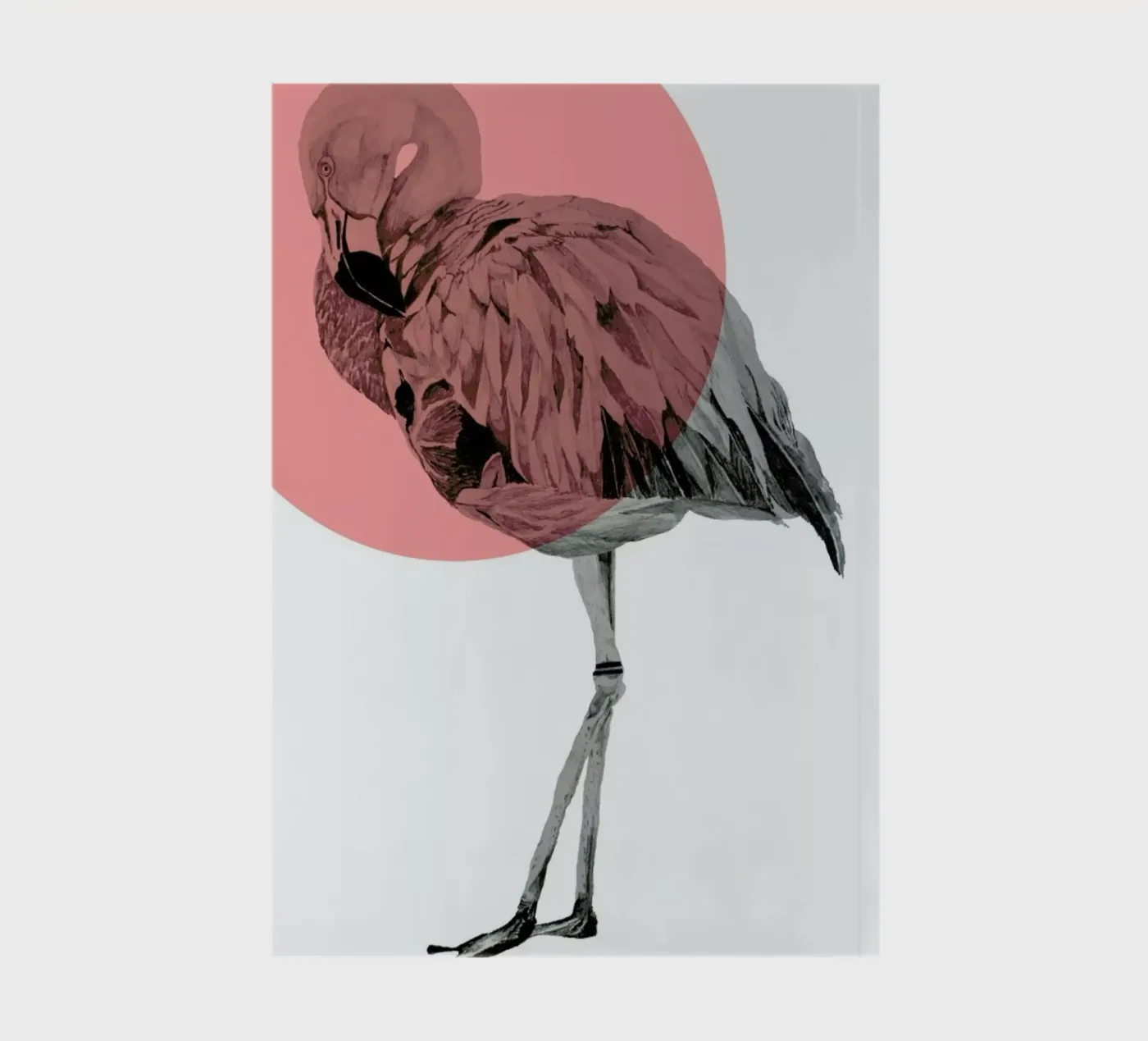 Flamingo notebook by Morgan Kendall