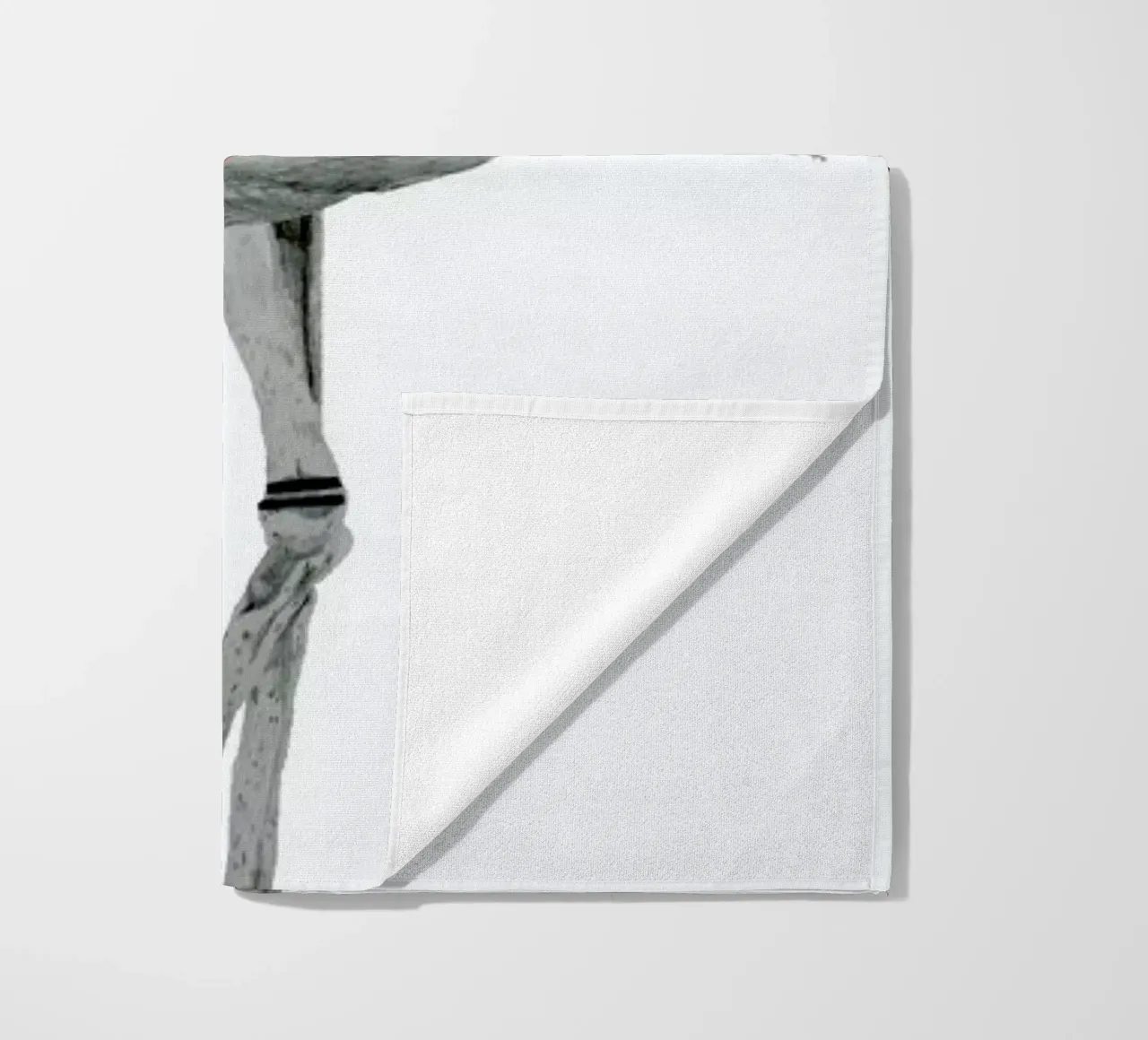 Flamingo telo mare da Morgan Kendall