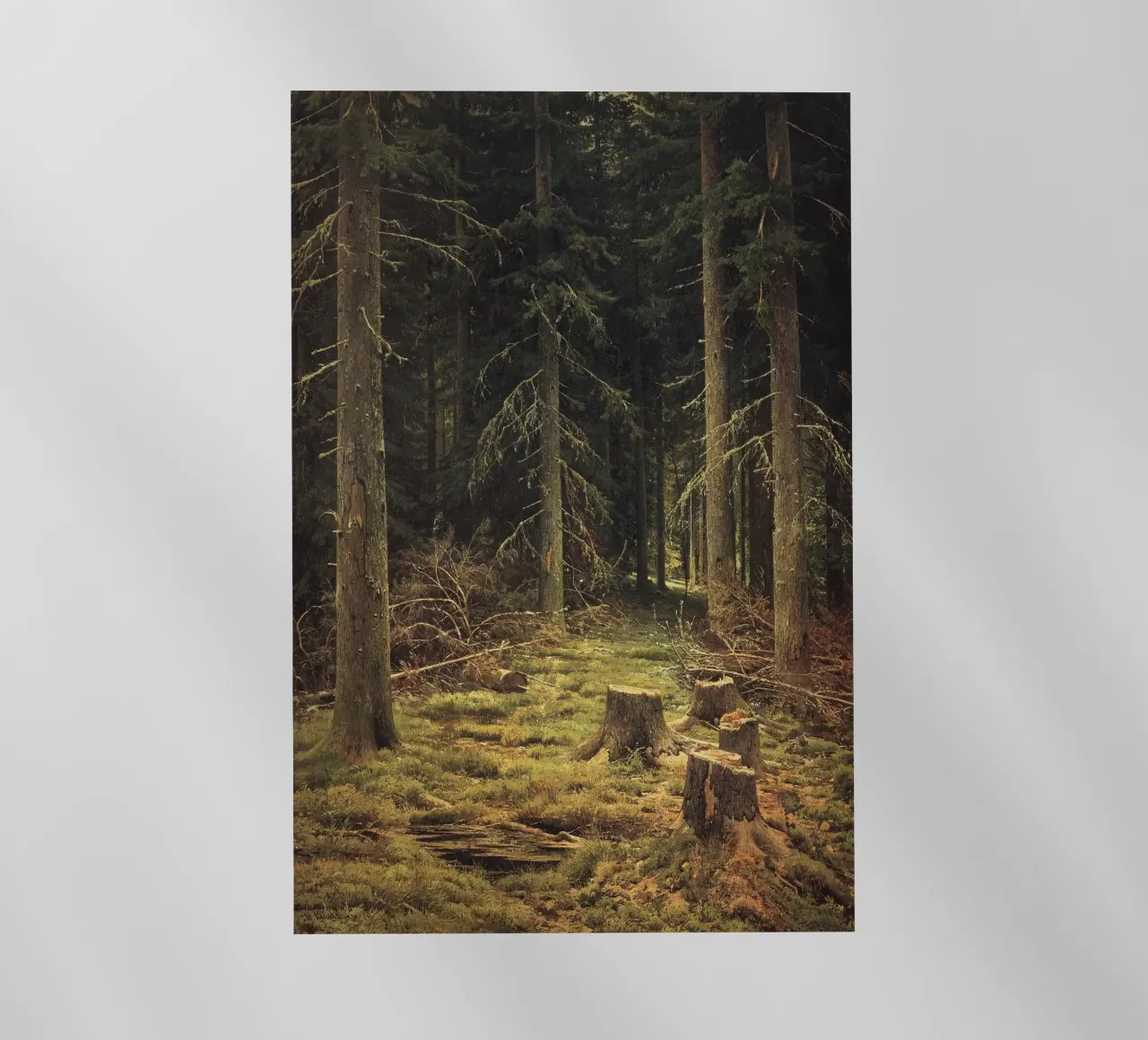 Ivan Shishkin - Foresta di conifere pellicola backlit da William Store