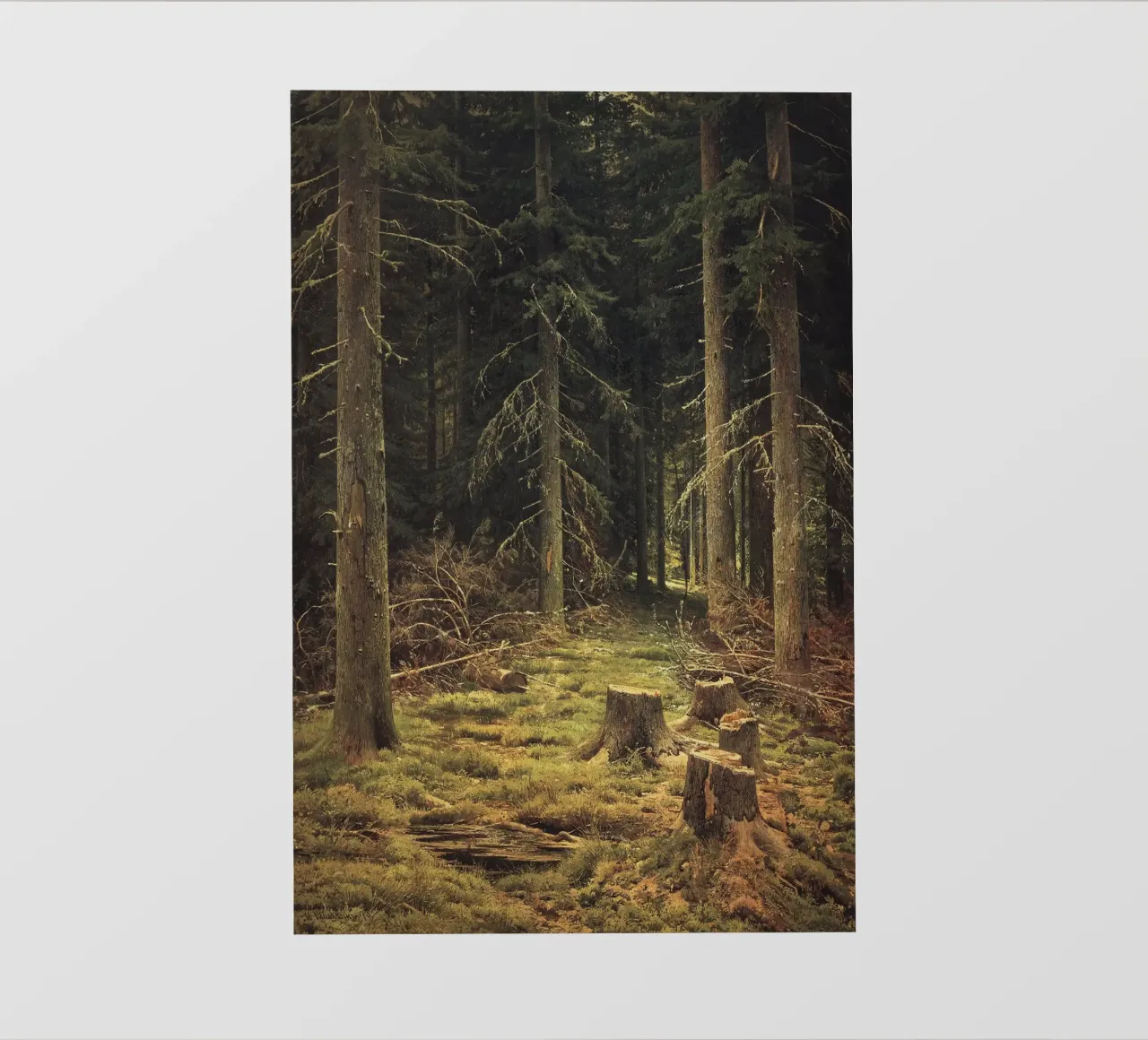 Ivan Shishkin - Foresta di conifere telo in pvc da William Store
