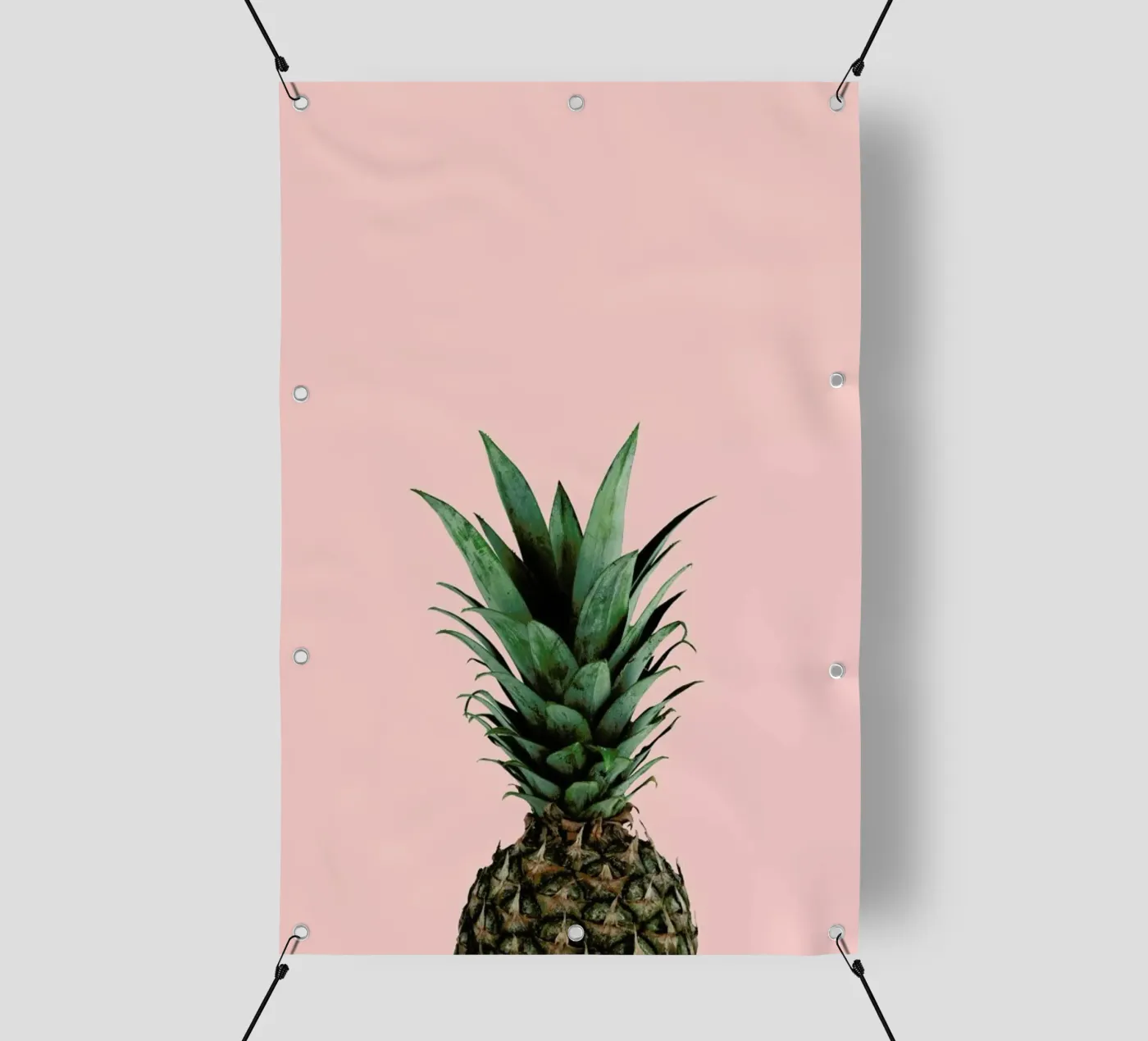 Pineapple pvc cover by Lemon-apes