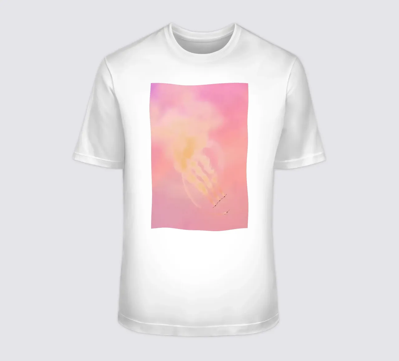Airborne 2017 t-shirt by Tal Paz-Fridman