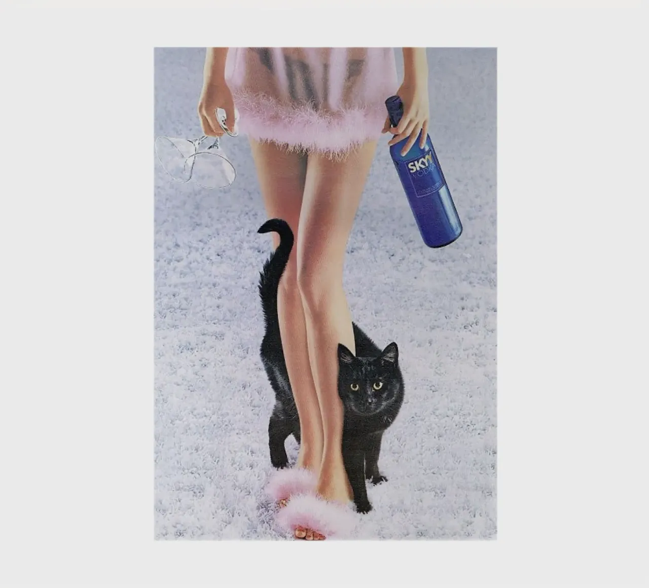Lets Party My Cat notebook by Attaboy Dsgn