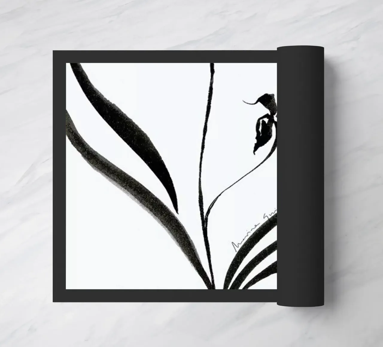 Orchid 2 zerbino da Marina Guiu