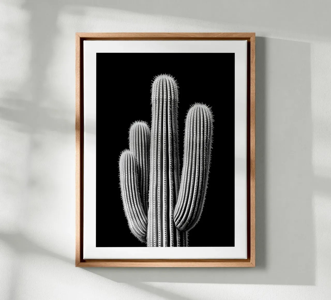Cactus in bianco e nero tela con Cornice a cassetta da Monochrome