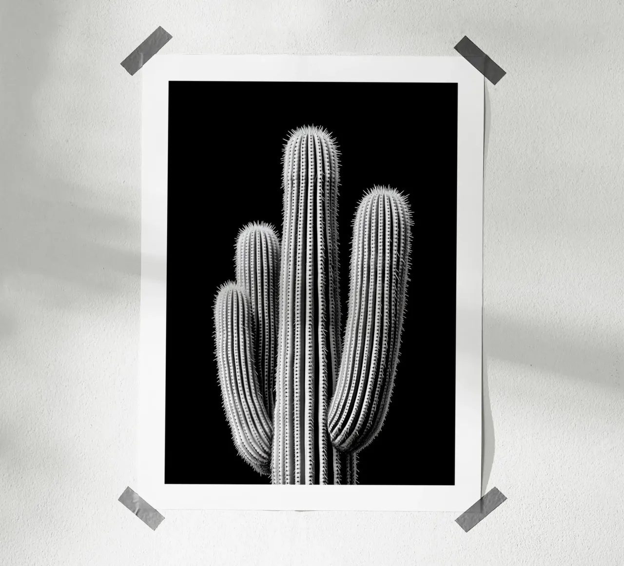 Cactus in bianco e nero carta hahnemühle da Monochrome