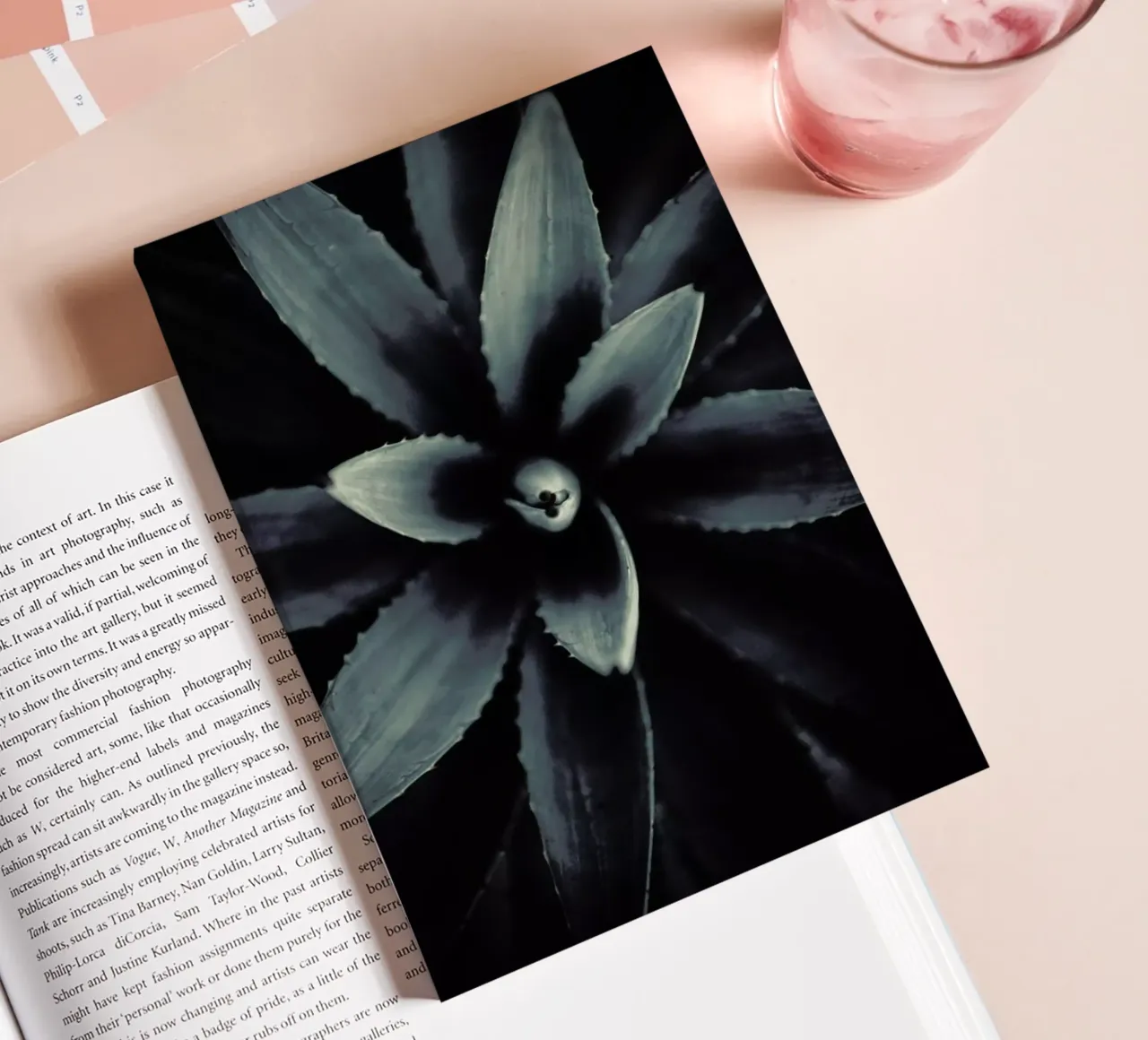 Palms-1831 notebook by Chris Abatzis