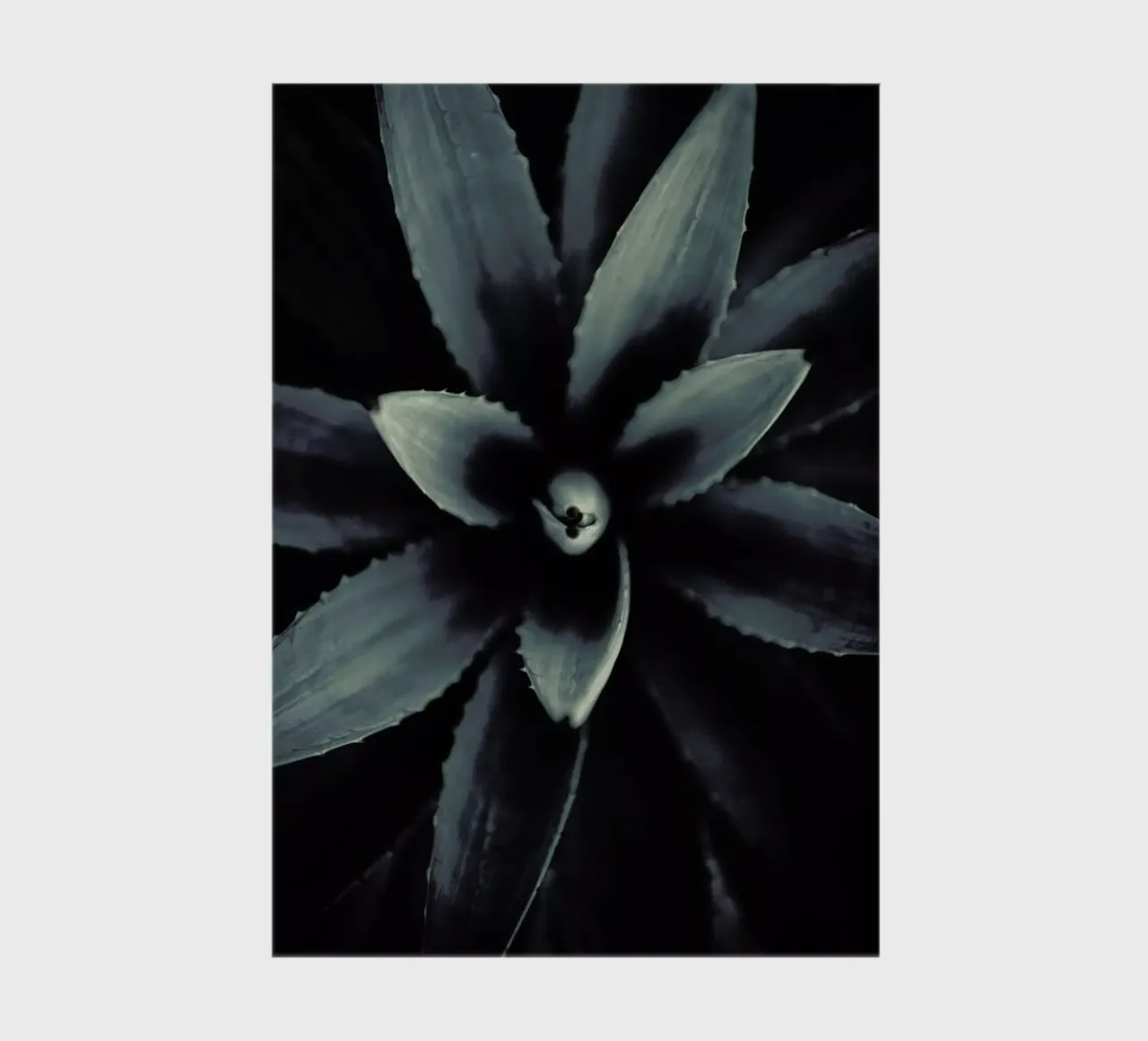 Palms-1831 notebook by Chris Abatzis