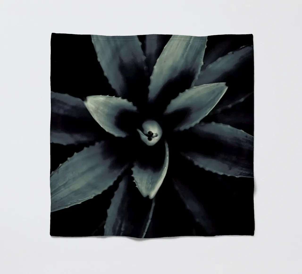Palms-1831 coperta in pile da Chris Abatzis
