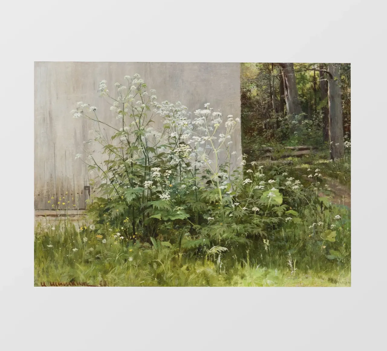 Ivan Shishkin - Fiori al recinto telo in pvc da William Store
