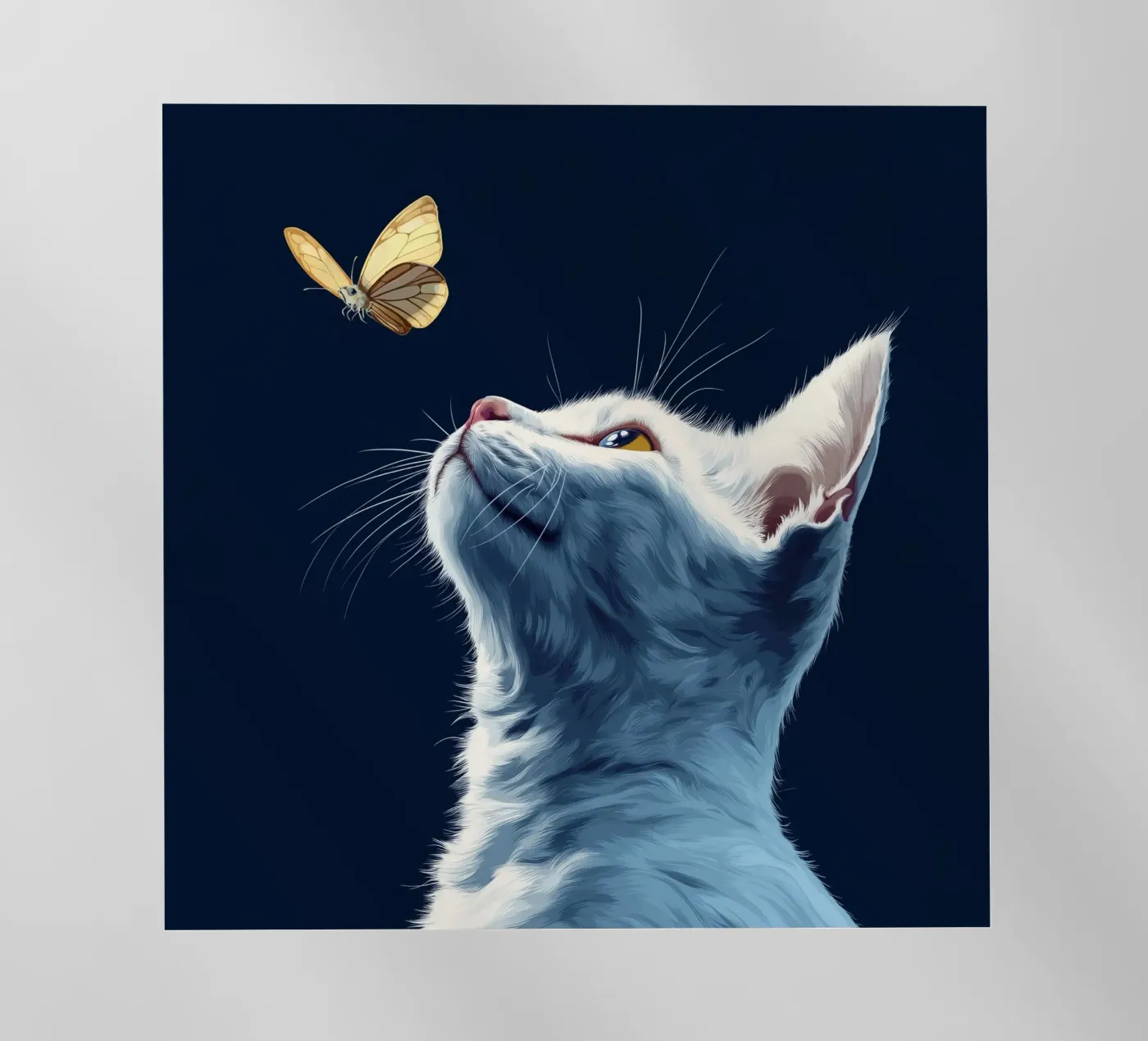 Gatto e farfalla pellicola backlit da Motivate-Today