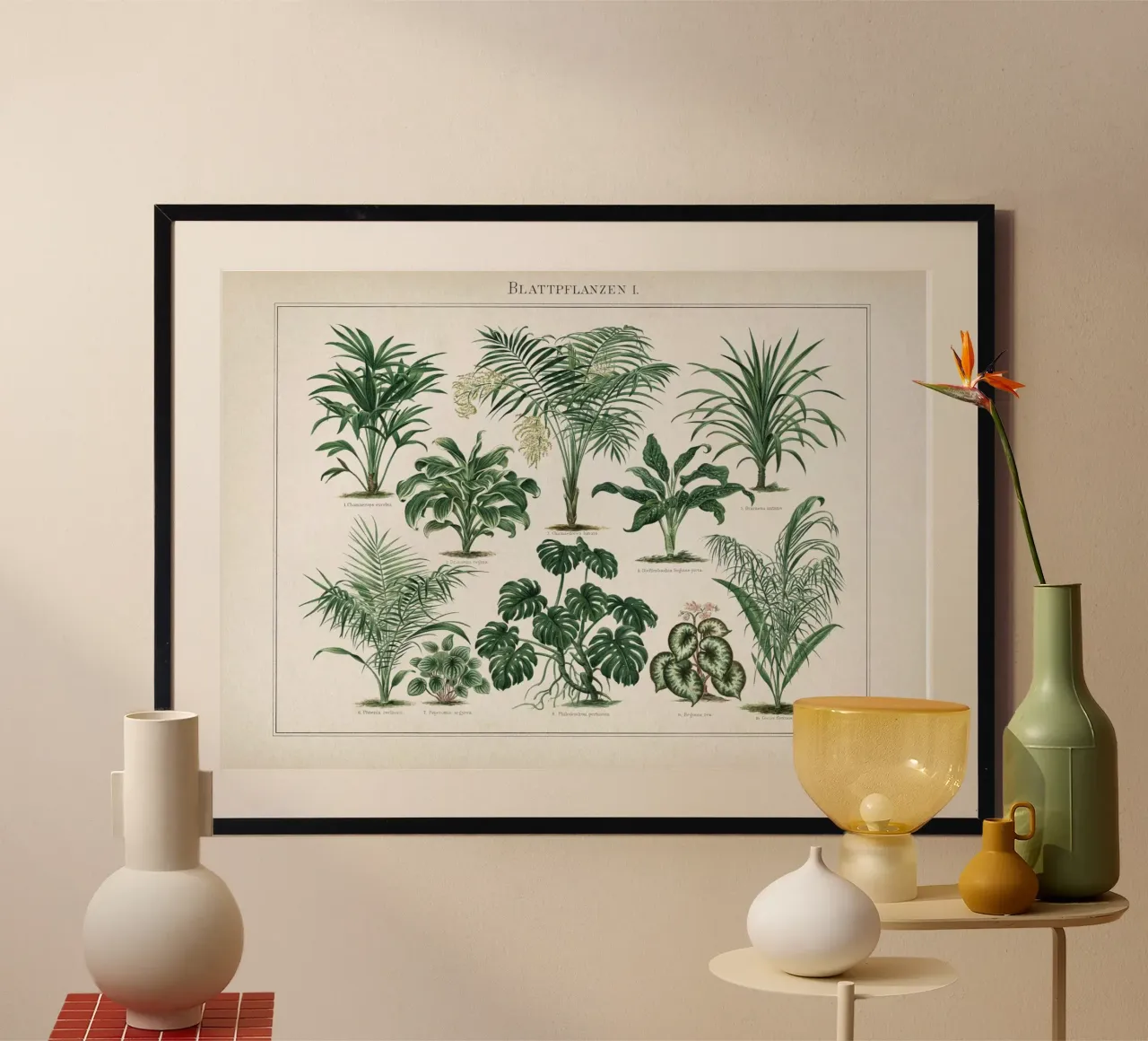 Vintage Meyers 1 Blattpflanzen 1 poster met aluminium frame van Vintage Print Collection