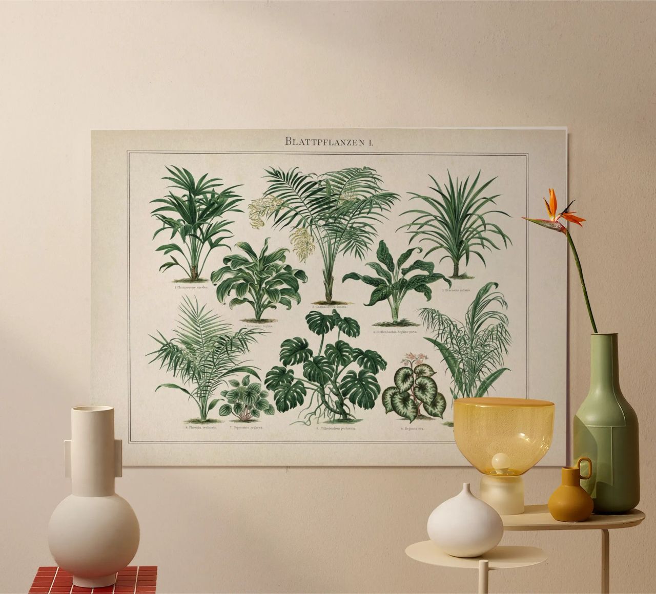 Vintage Meyers 1 Blattpflanzen 1 poster by Vintage Print Collection