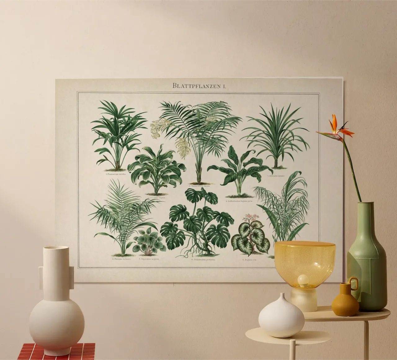 Vintage Meyers 1 Blattpflanzen 1 poster met aluminium frame van Vintage Print Collection