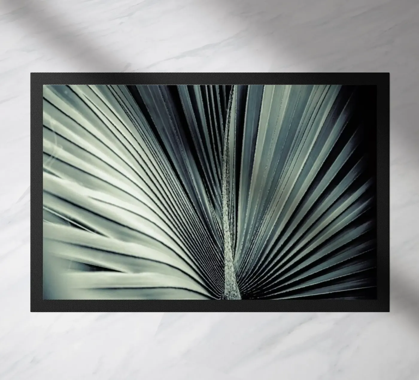 Palms-1847 zerbino da Chris Abatzis