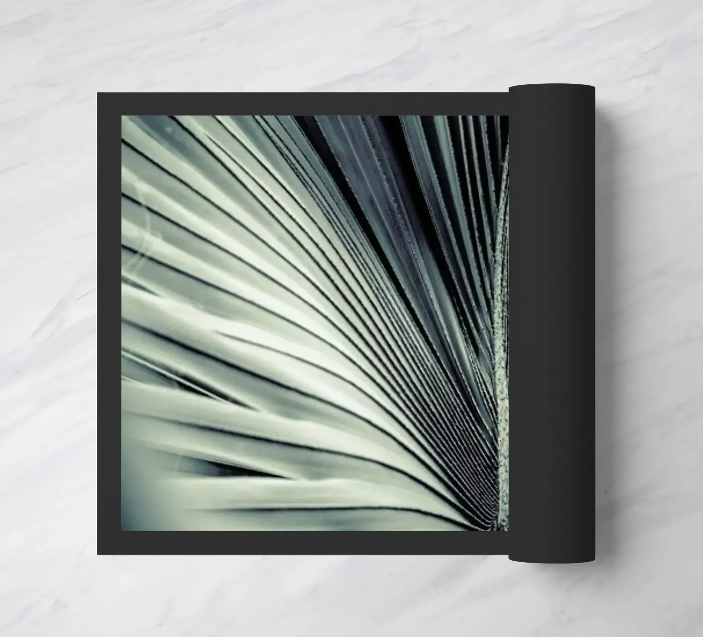 Palms-1847 zerbino da Chris Abatzis