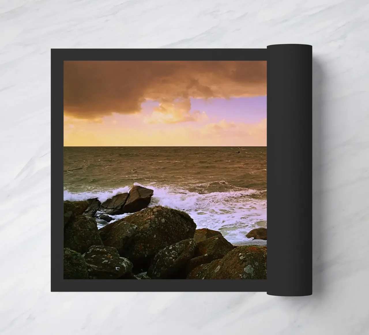 FAA222 zerbino da Thierry vobmann photography