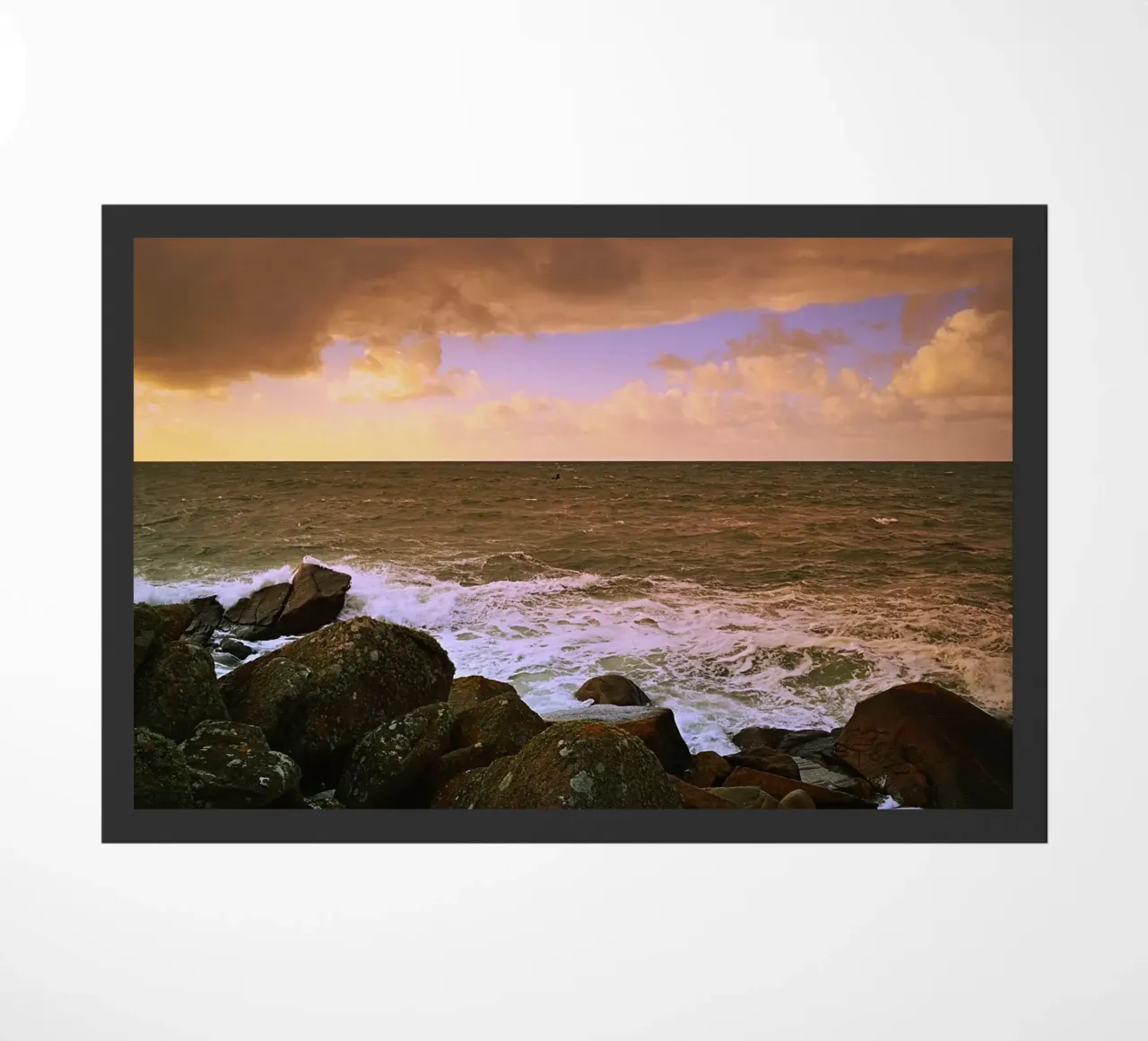 FAA222 zerbino da Thierry vobmann photography