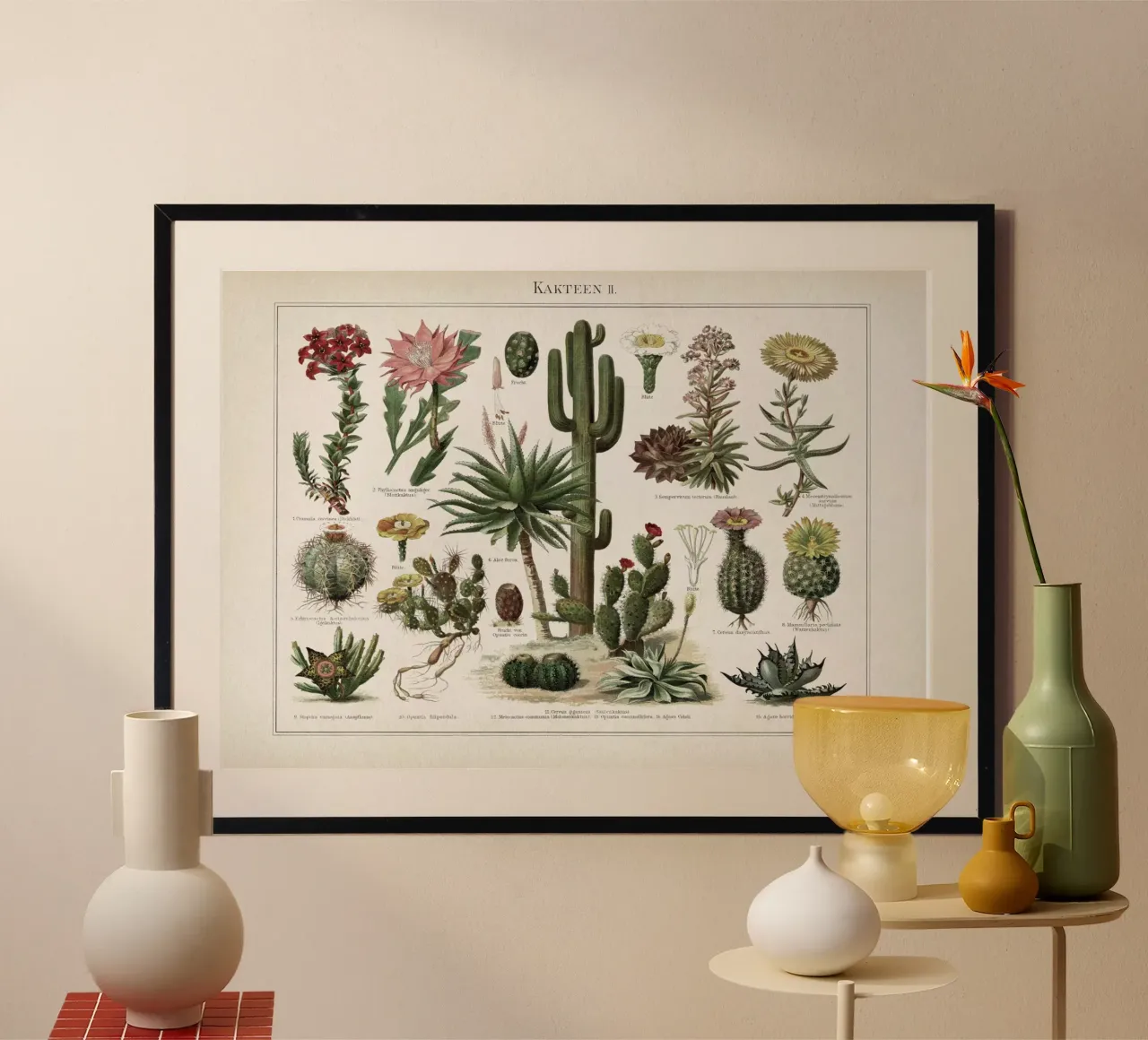 Vintage Meyers 1 Kakteen 2 poster met aluminium frame van Vintage Print Collection