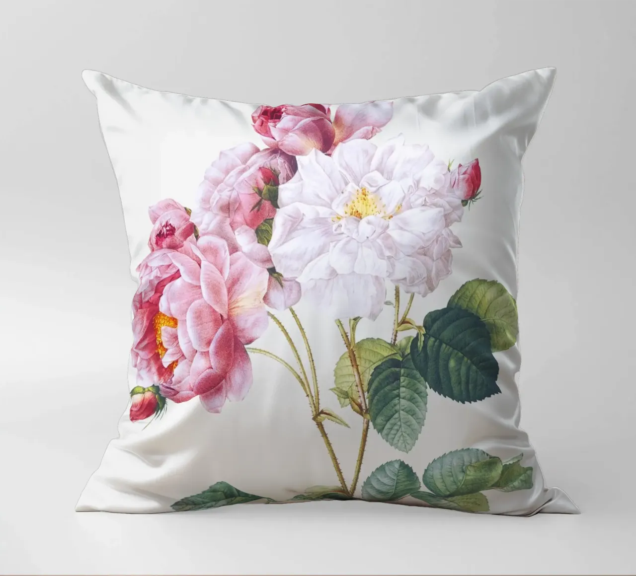 Pink Rose Botanical Print cuscino da Venus Art