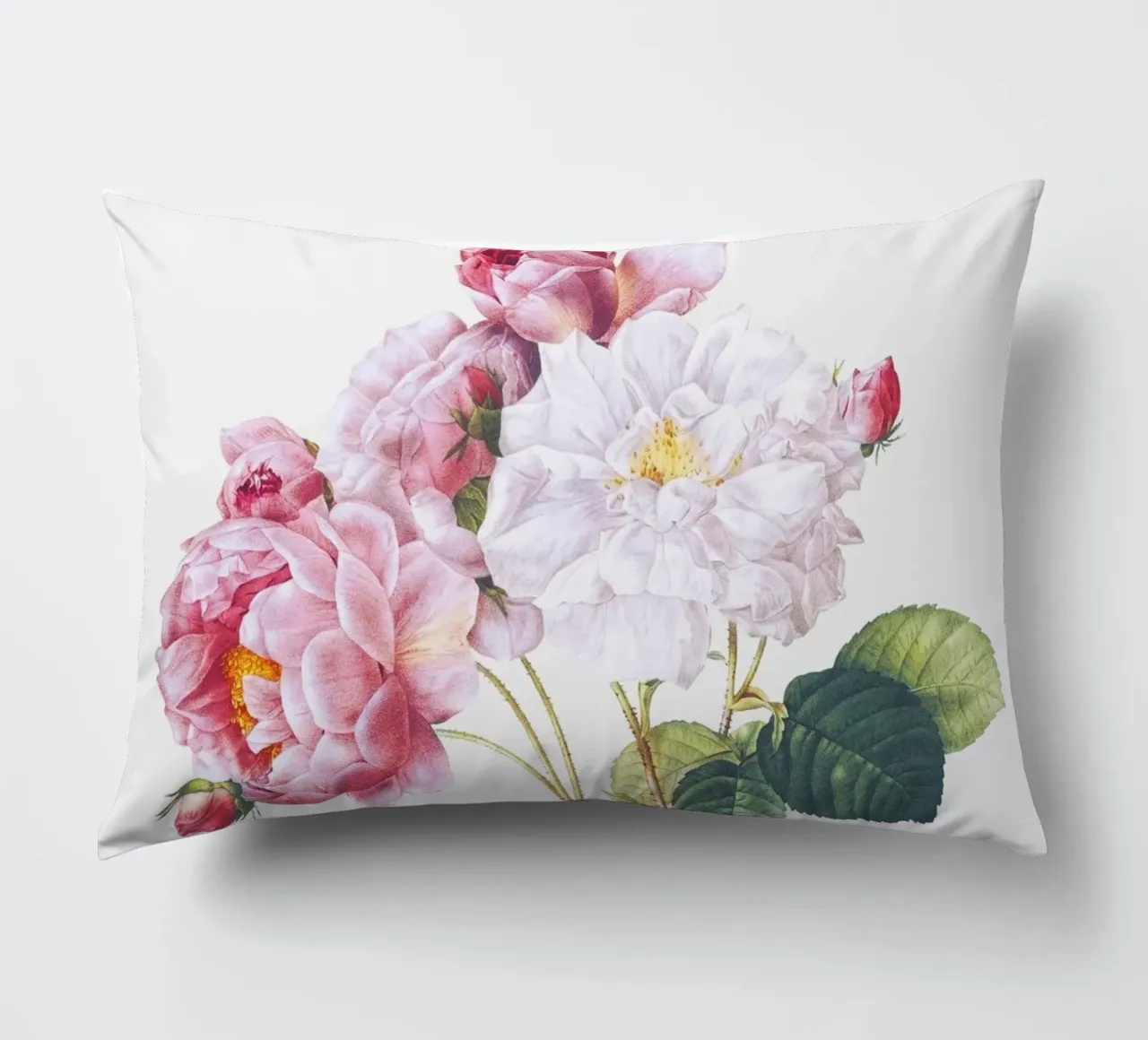 Pink Rose Botanical Print cuscino da Venus Art