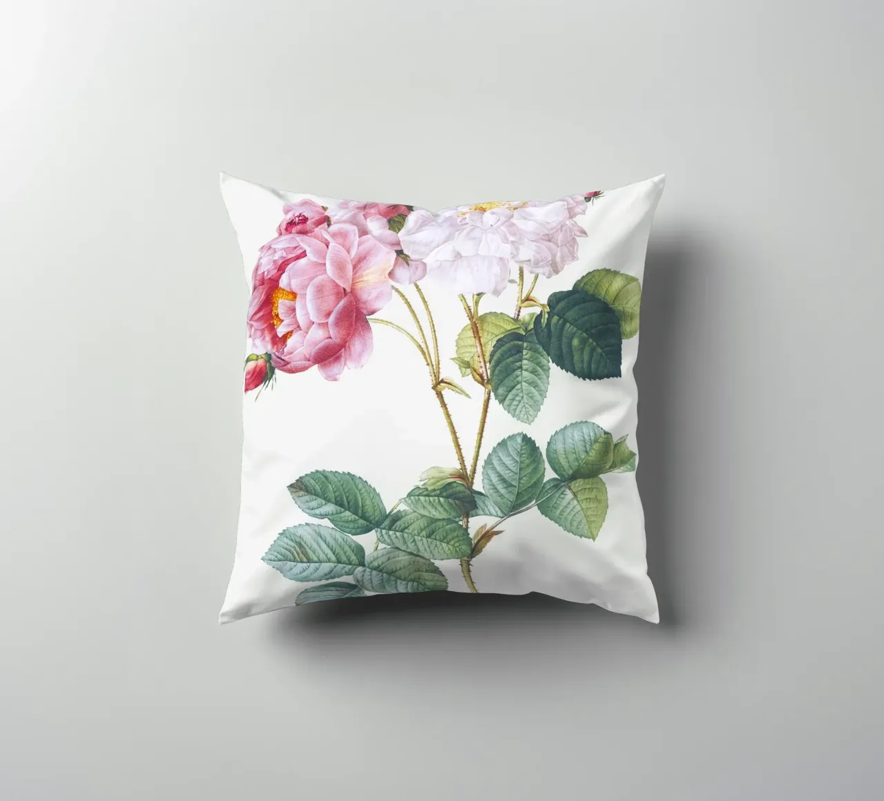 Pink Rose Botanical Print cuscino da Venus Art