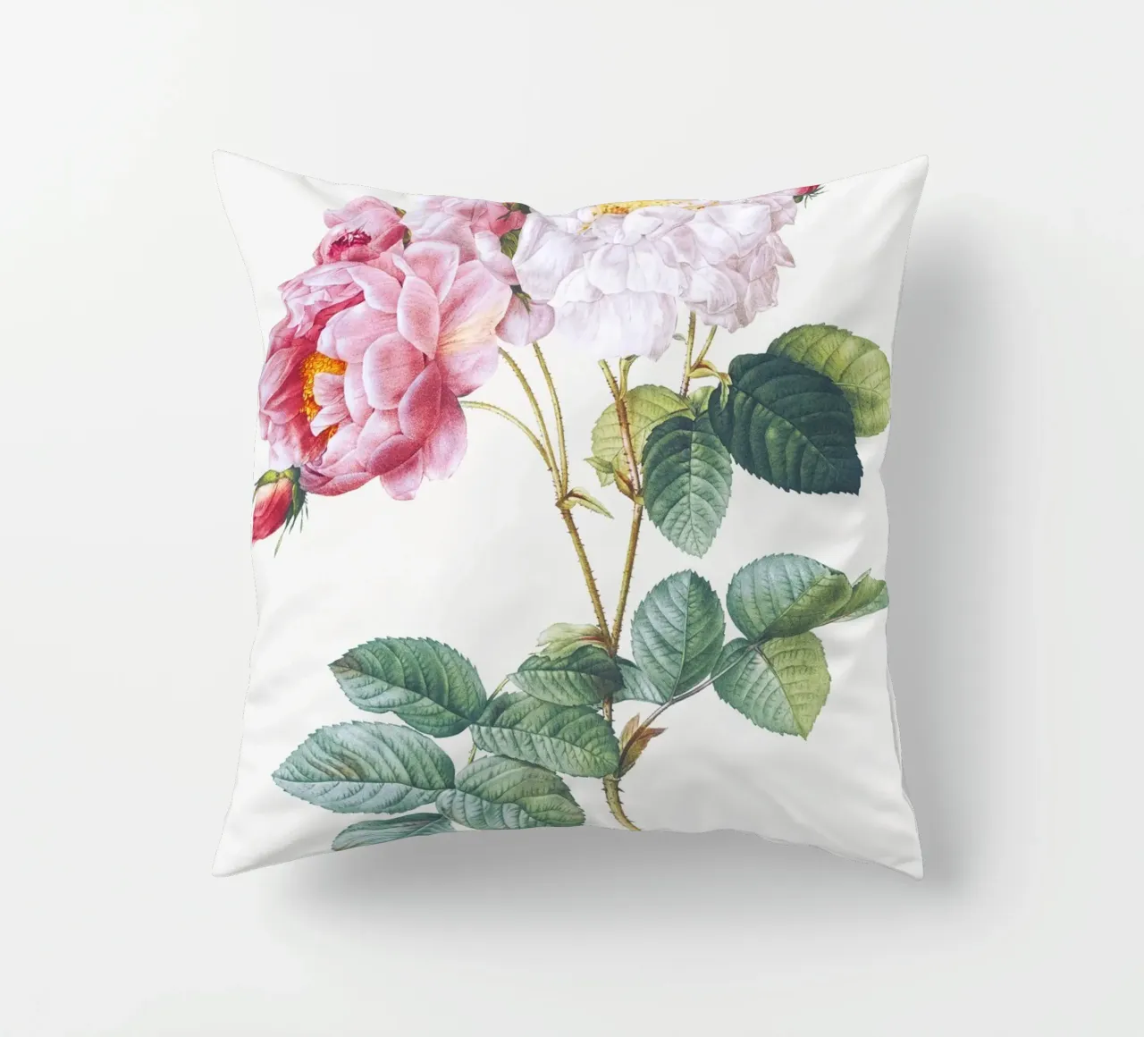 Pink Rose Botanical Print cuscino da Venus Art