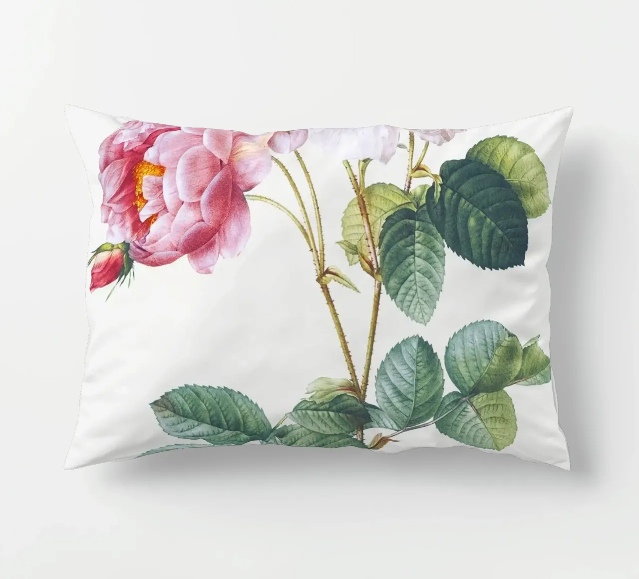 Pink Rose Botanical Print cuscino da Venus Art