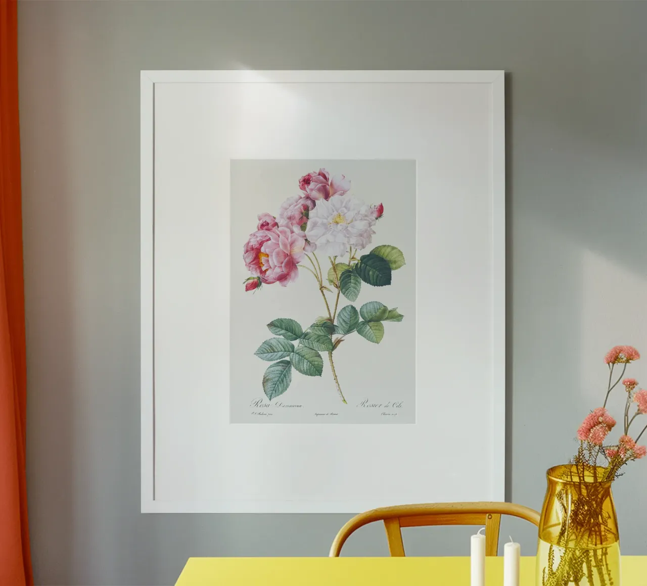 Pink Rose Botanical Print poster con telaio in alluminio da Venus Art