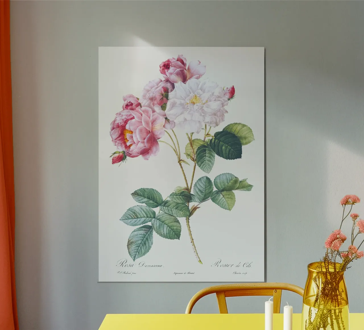 Pink Rose Botanical Print poster con telaio in alluminio da Venus Art