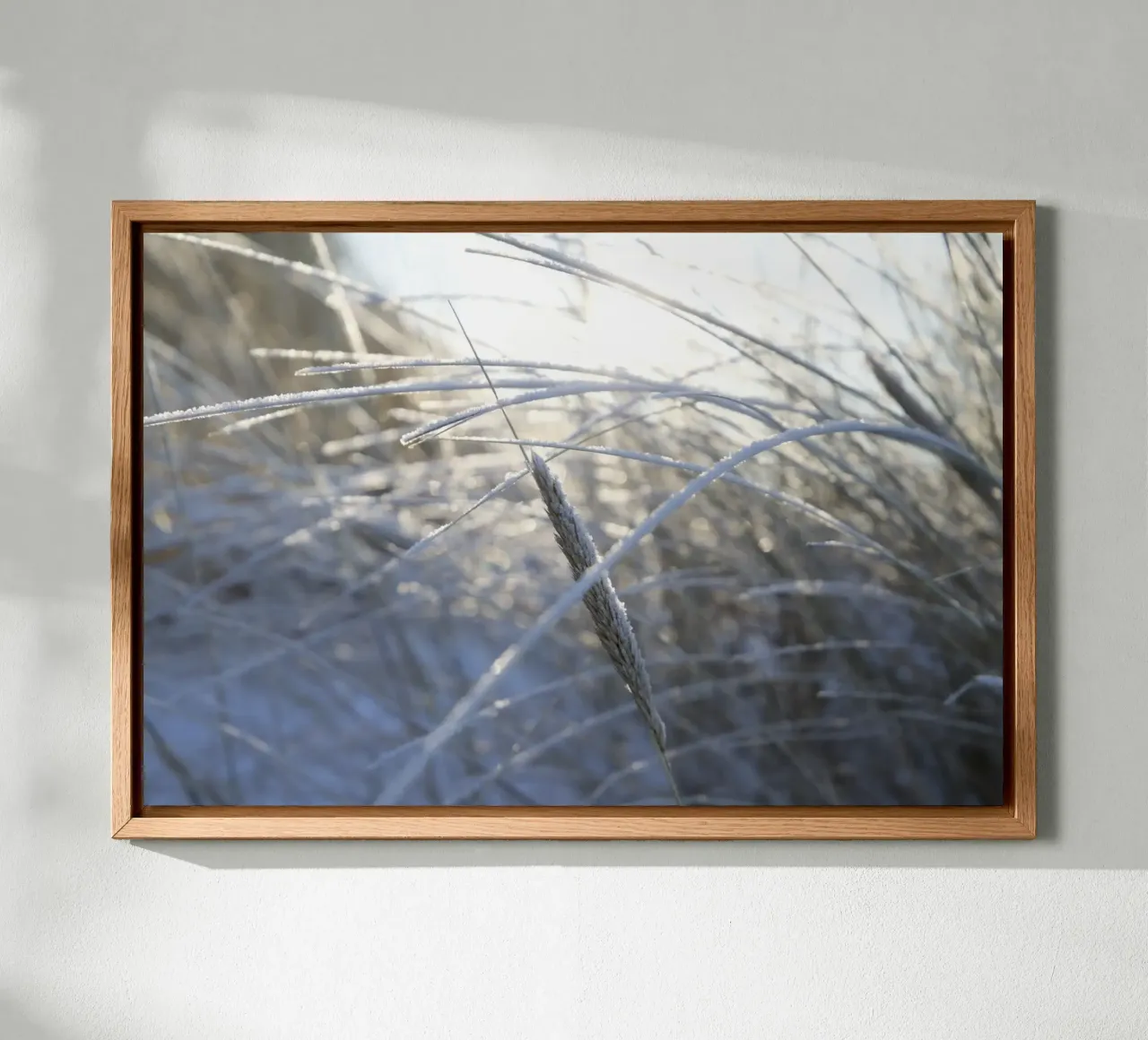 Sun & Snow on the Beach Leinwand von Saskia Kamenz