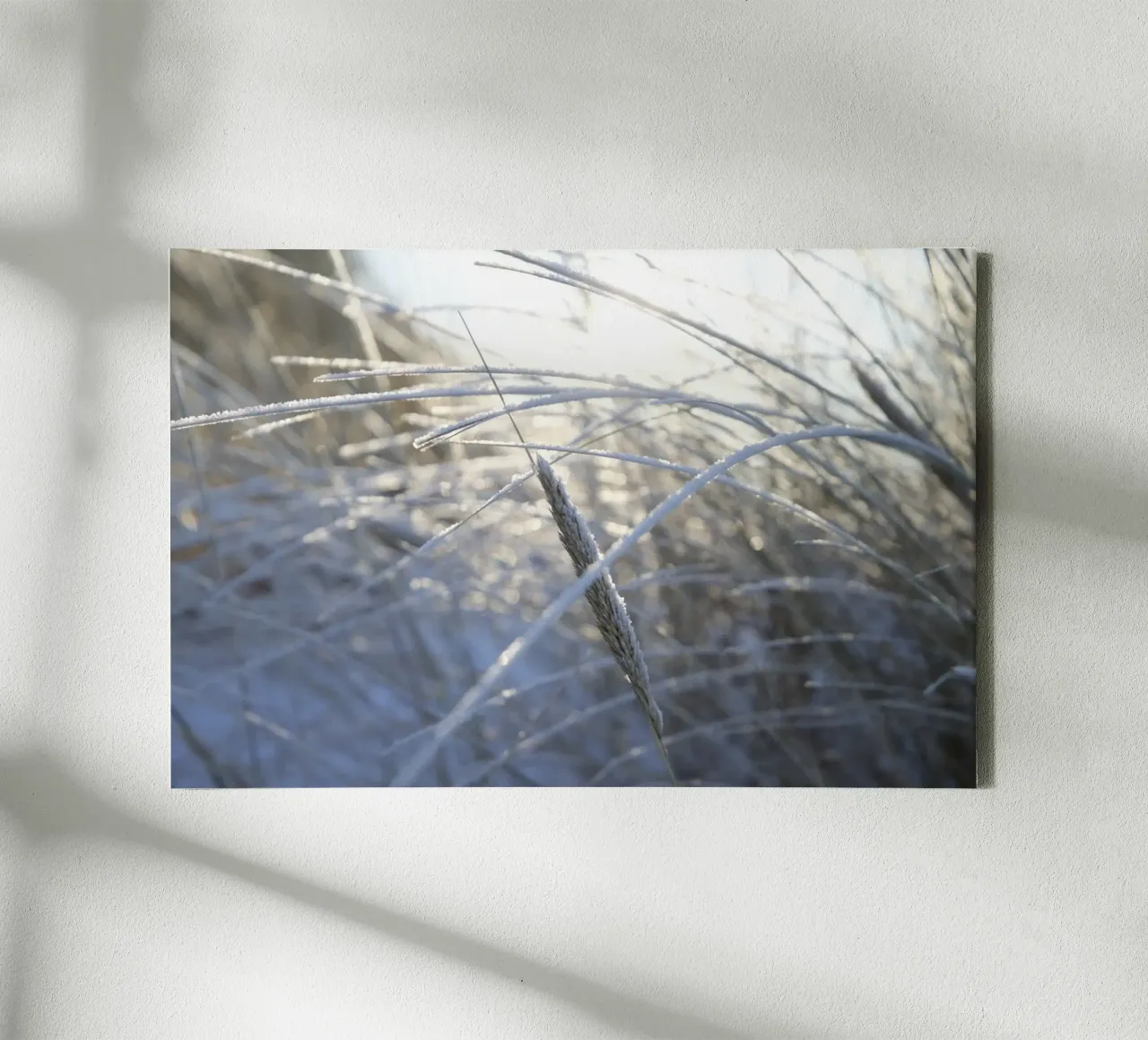 Sun & Snow on the Beach Leinwand von Saskia Kamenz