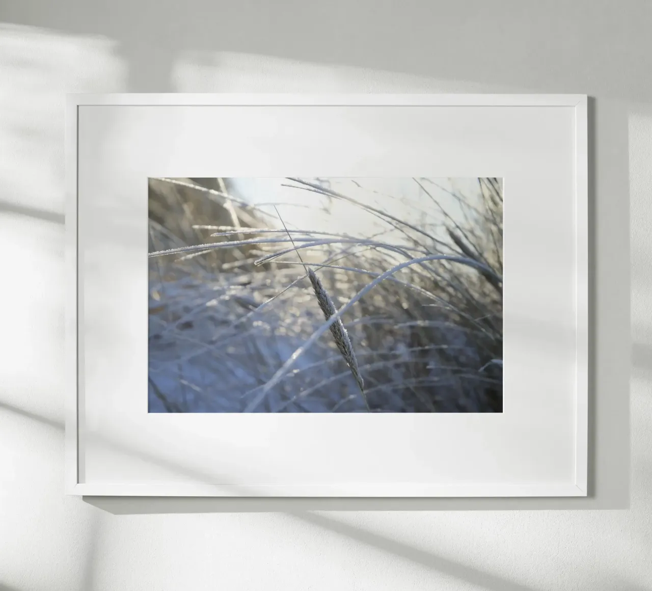 Sole e neve sulla spiaggia carta hahnemühle da Saskia Kamenz