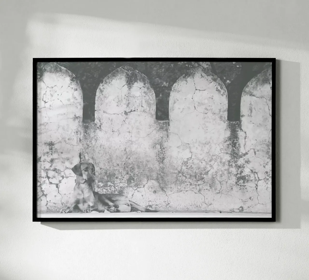 Flooded with Life carta hahnemühle da Ballack Art House