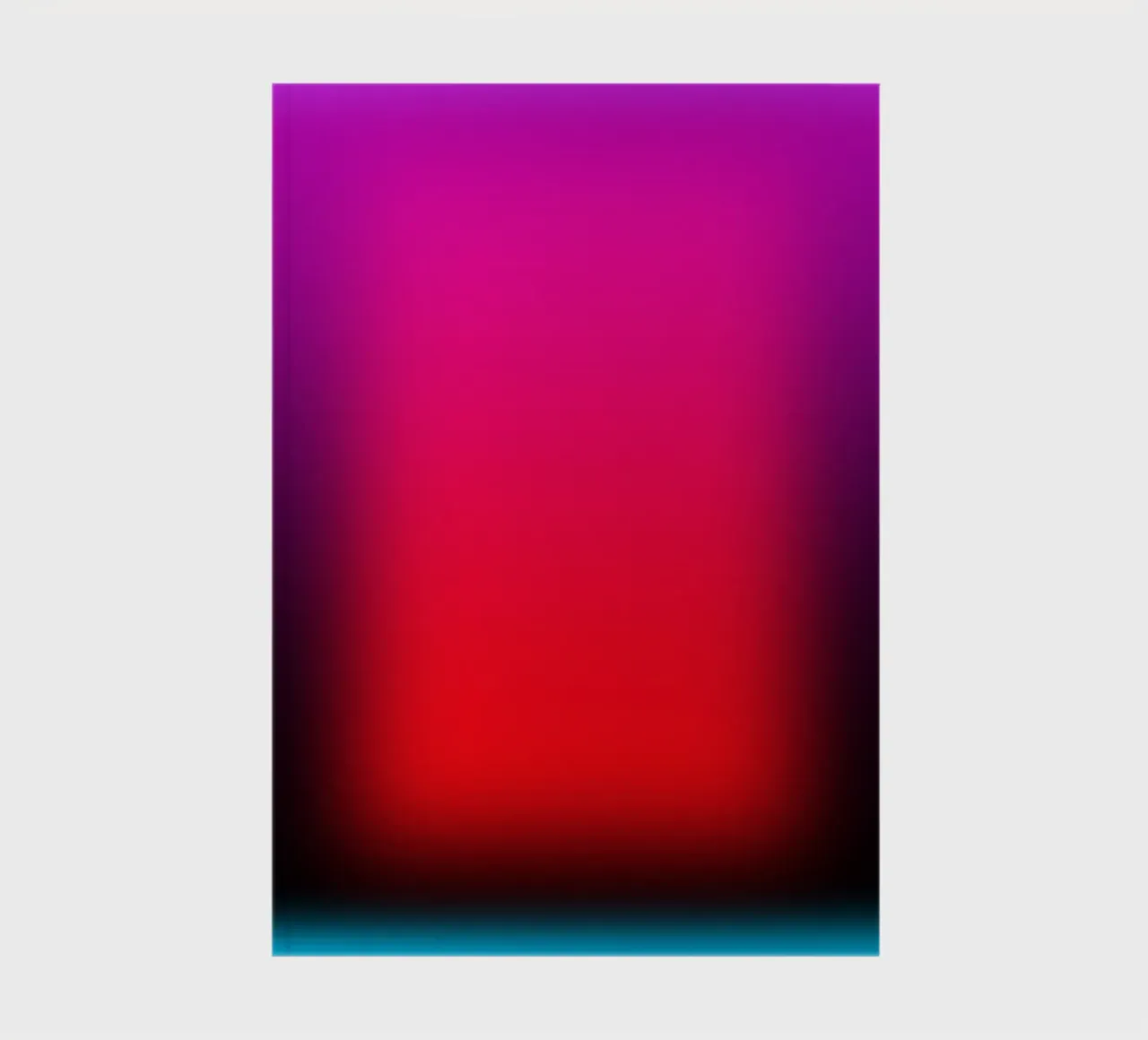 The Frame notebook by Flo Klein