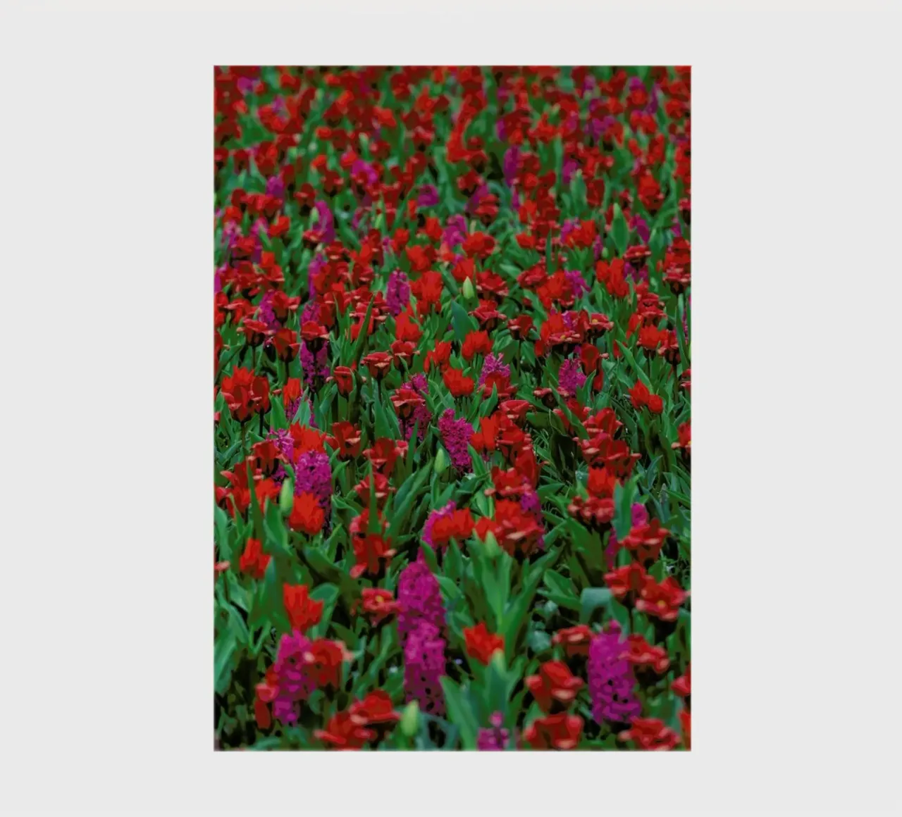 Tulip Field Red notebook by Curious Collections by Marielle Leenders