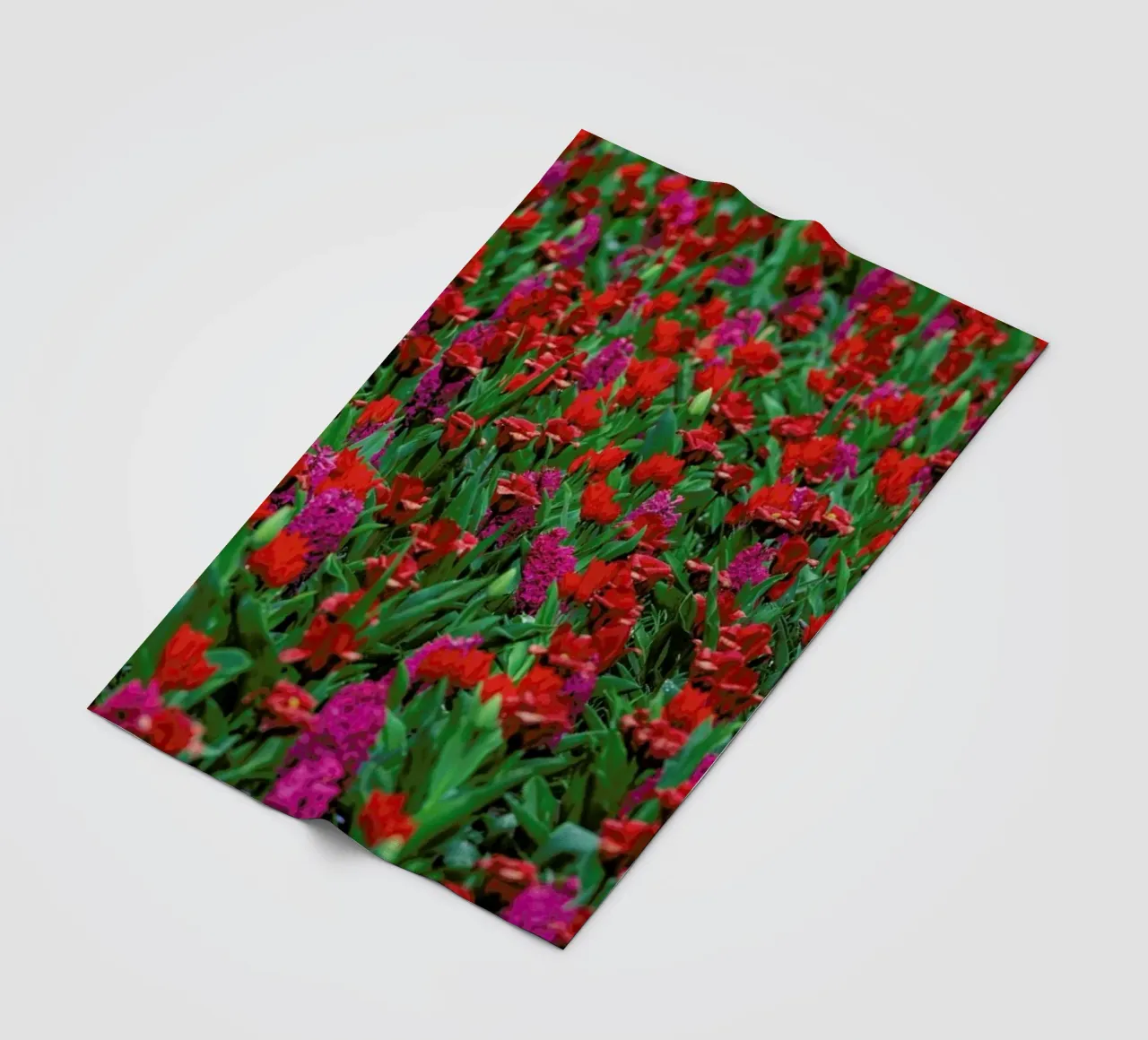 Tulip Field Red coperta in pile da Curious Collections by Marielle Leenders