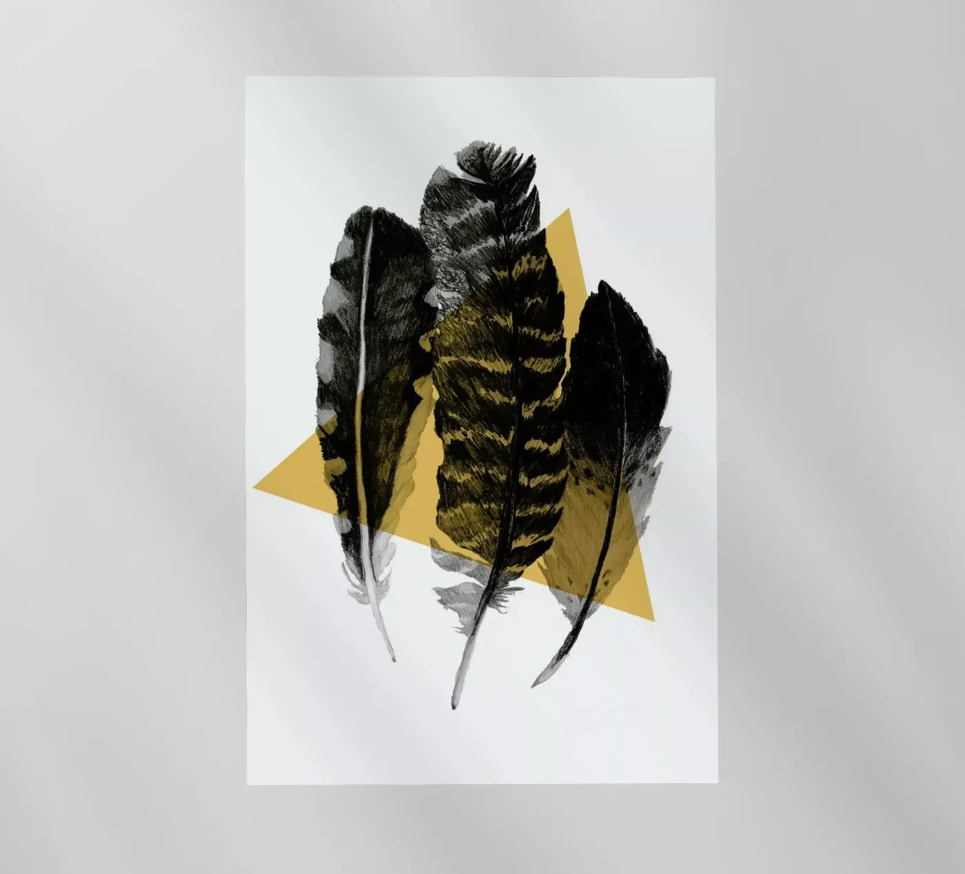 Feathers pellicola backlit da Morgan Kendall