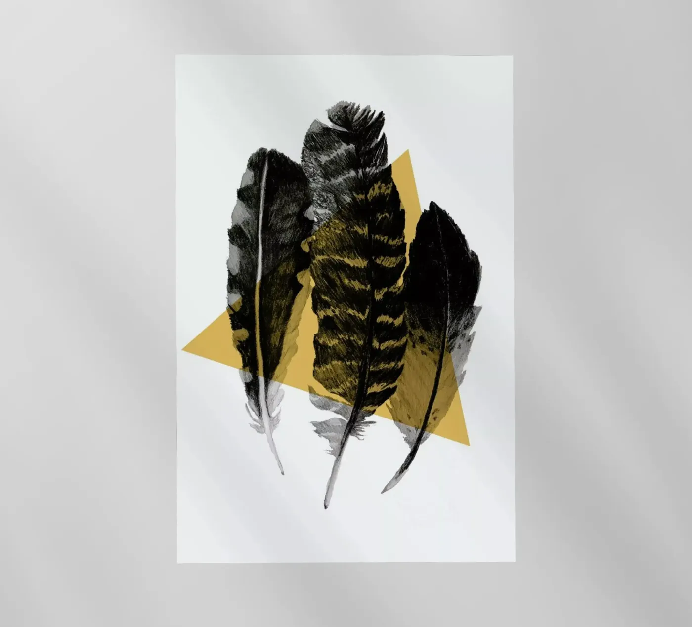 Feathers pellicola backlit da Morgan Kendall