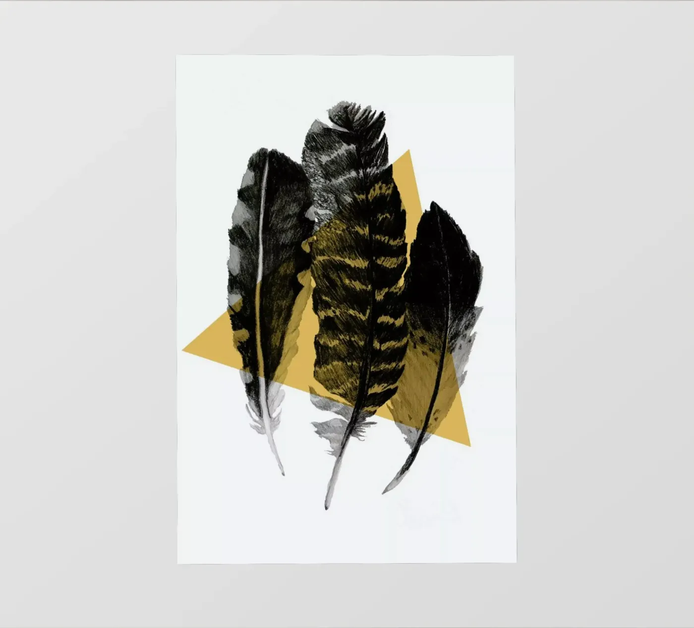 Feathers pellicola backlit da Morgan Kendall
