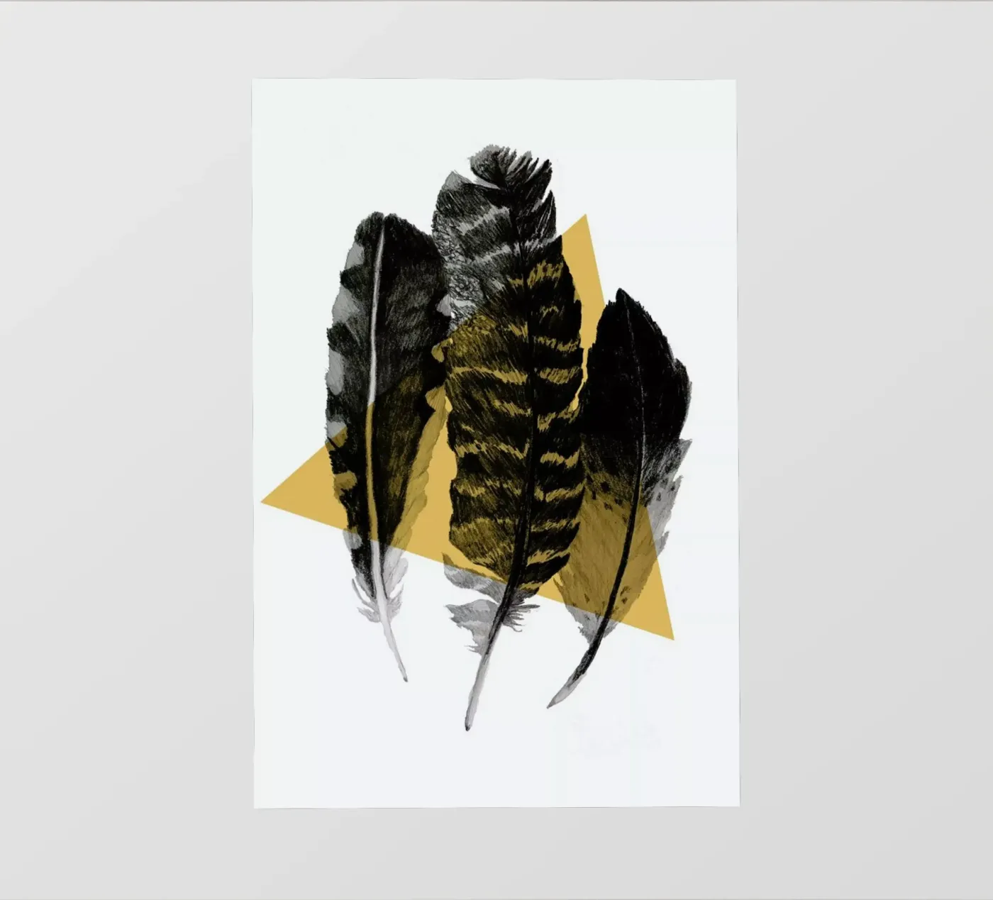 Feathers pellicola backlit da Morgan Kendall