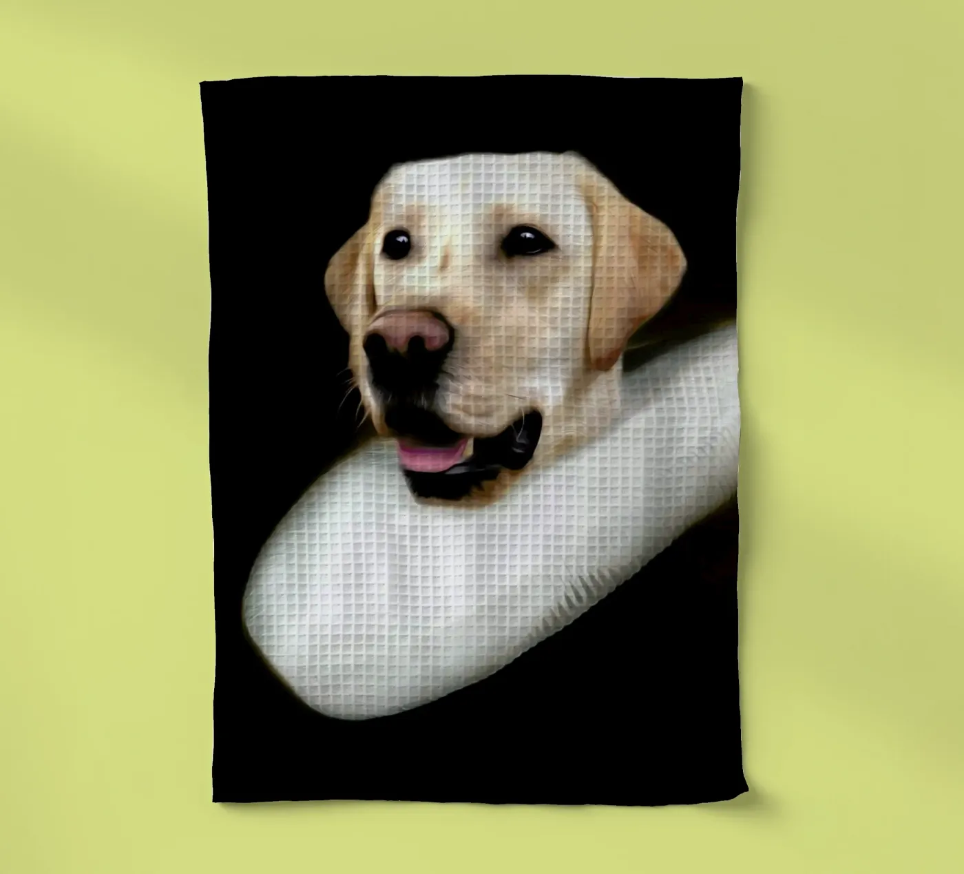 Doesjka torchon de Tein Lucasson