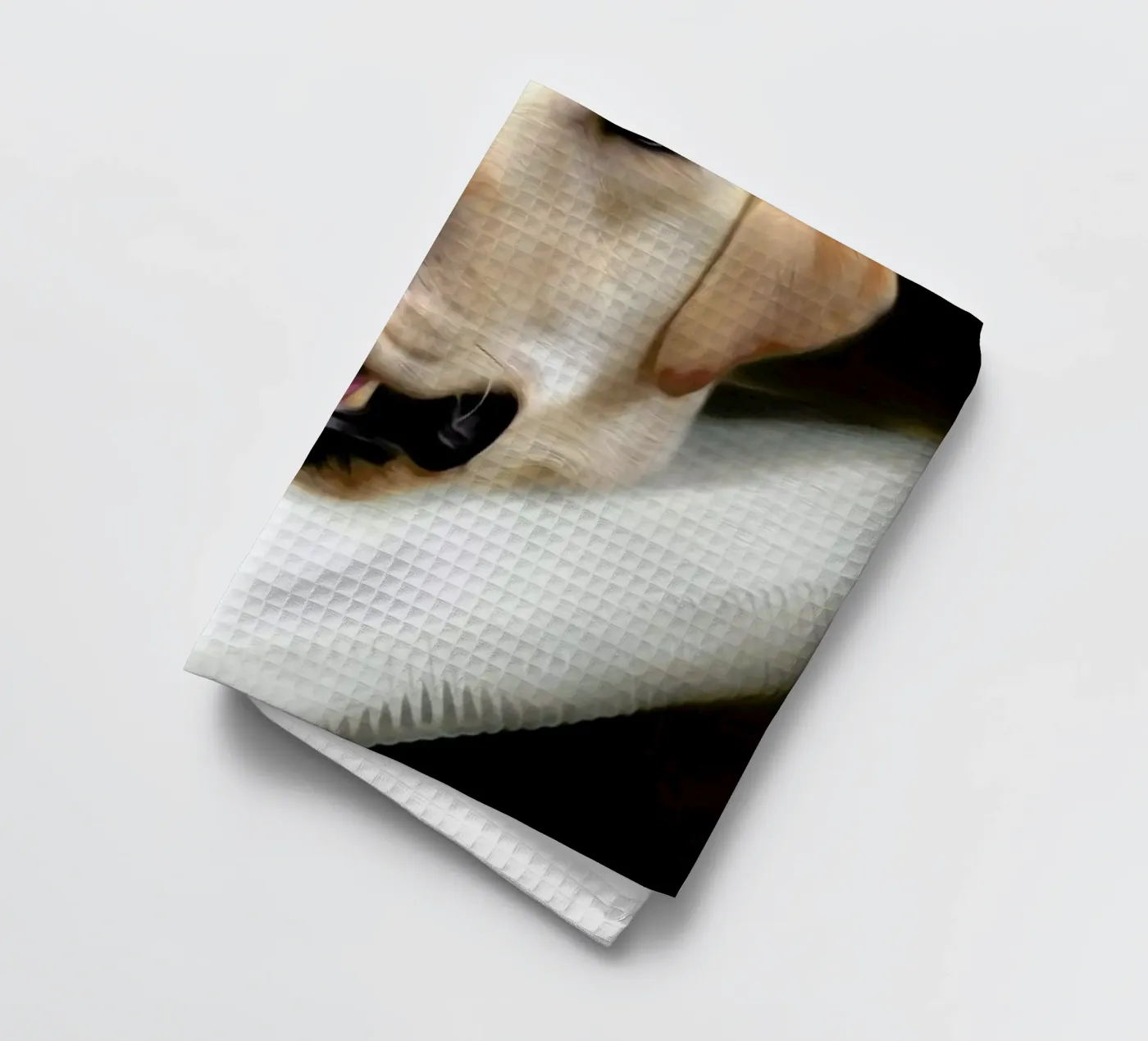 Doesjka torchon de Tein Lucasson