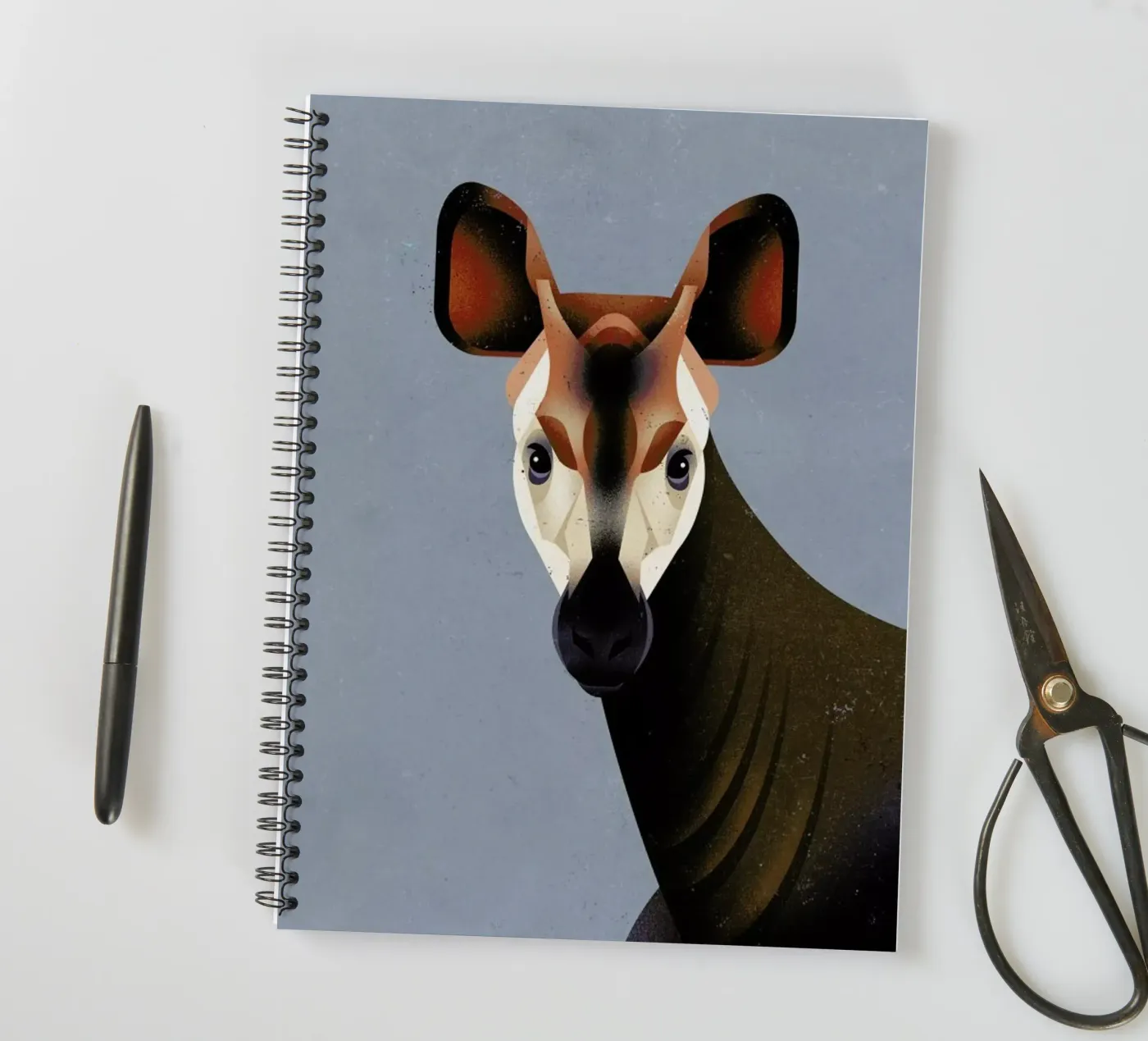 Okapi Ringbuch von Dieter Braun